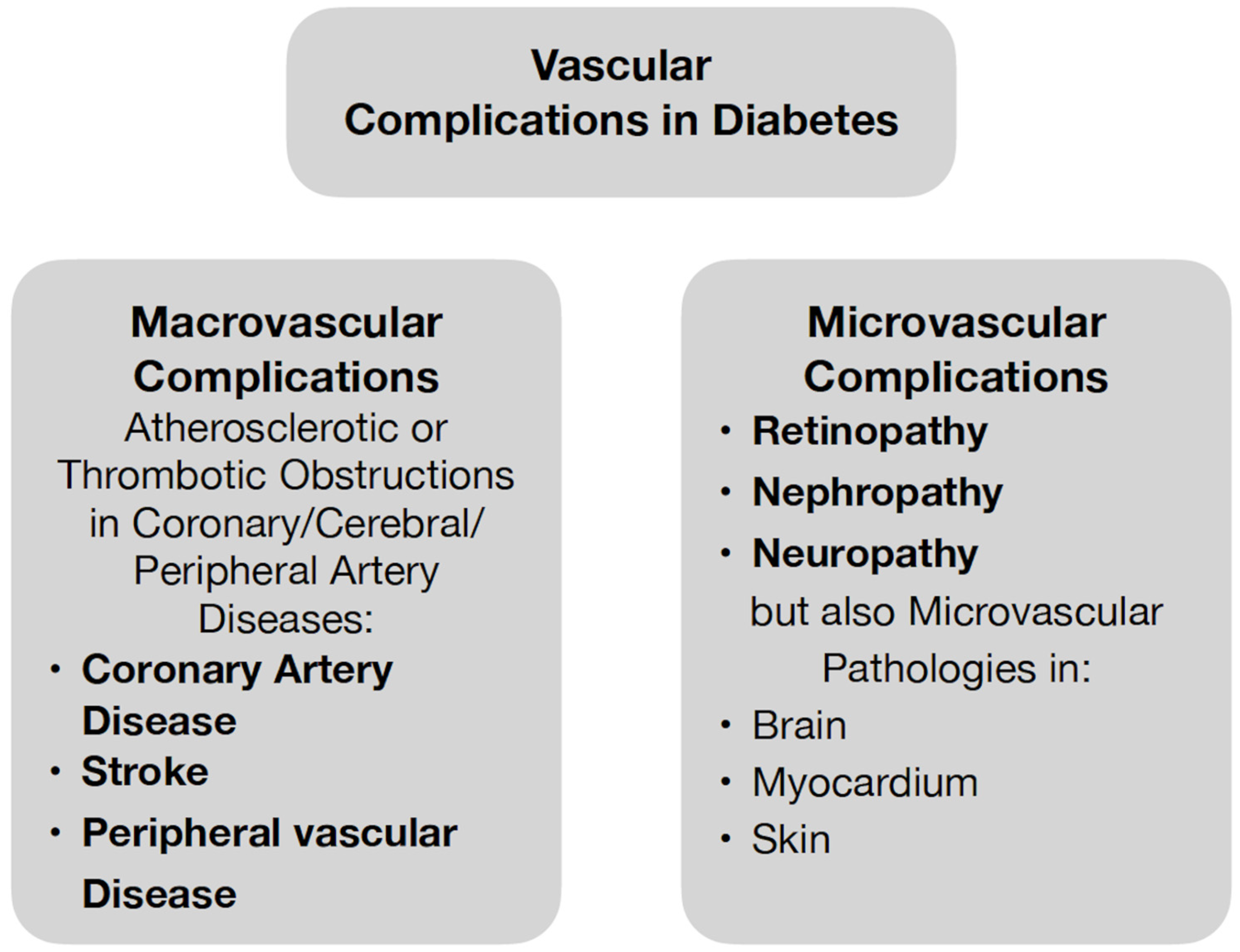 Biomedicines 11 01159 g001