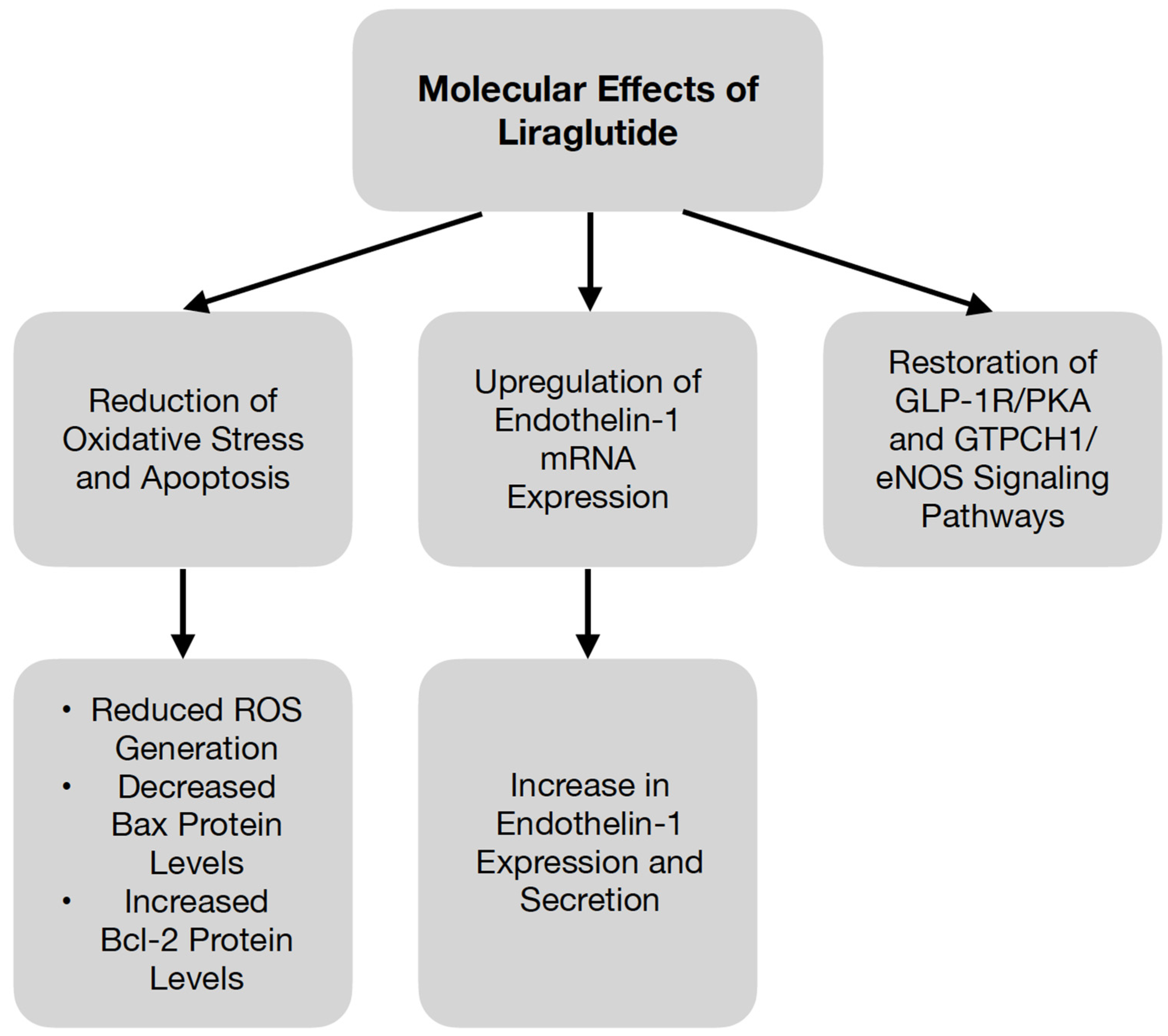 Biomedicines 11 01159 g003