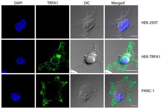 Biomedicines 11 01164 g001