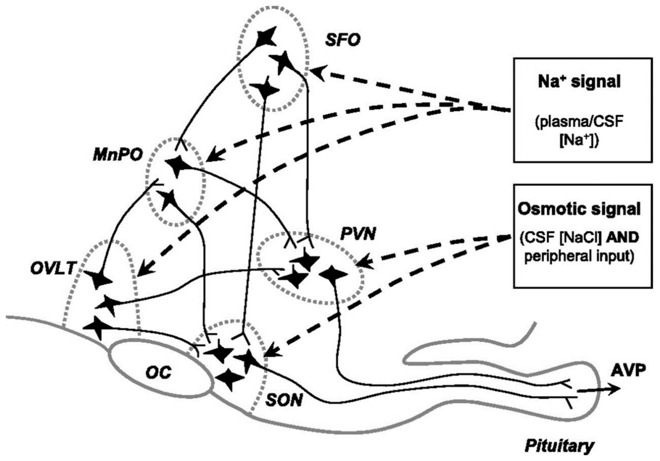 Biomedicines 11 01164 g002 Biomedicines 11 01164 g002
