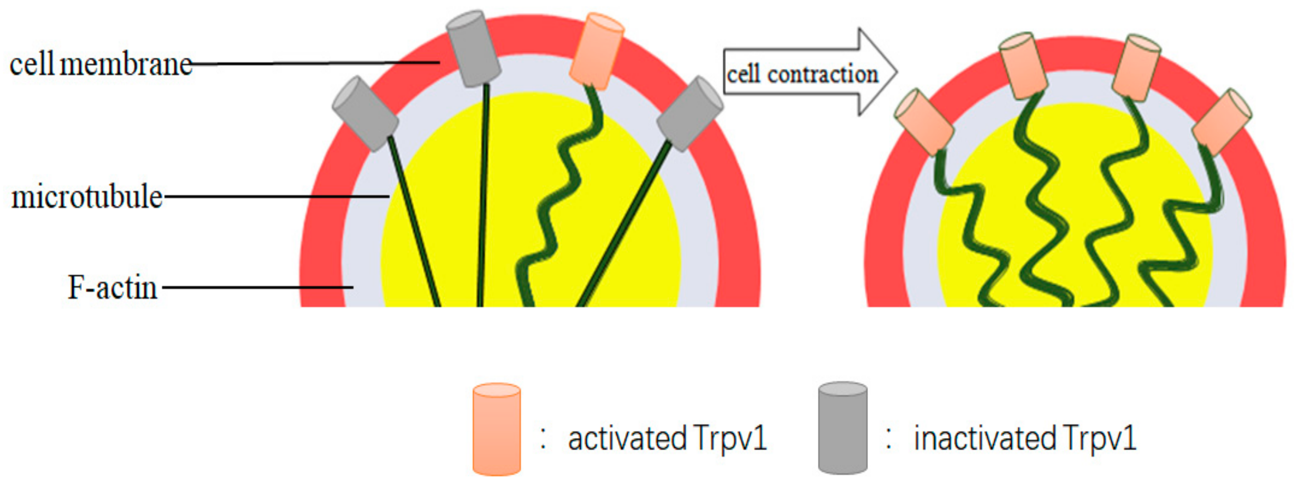 Biomedicines 11 01164 g003 Biomedicines 11 01164 g003