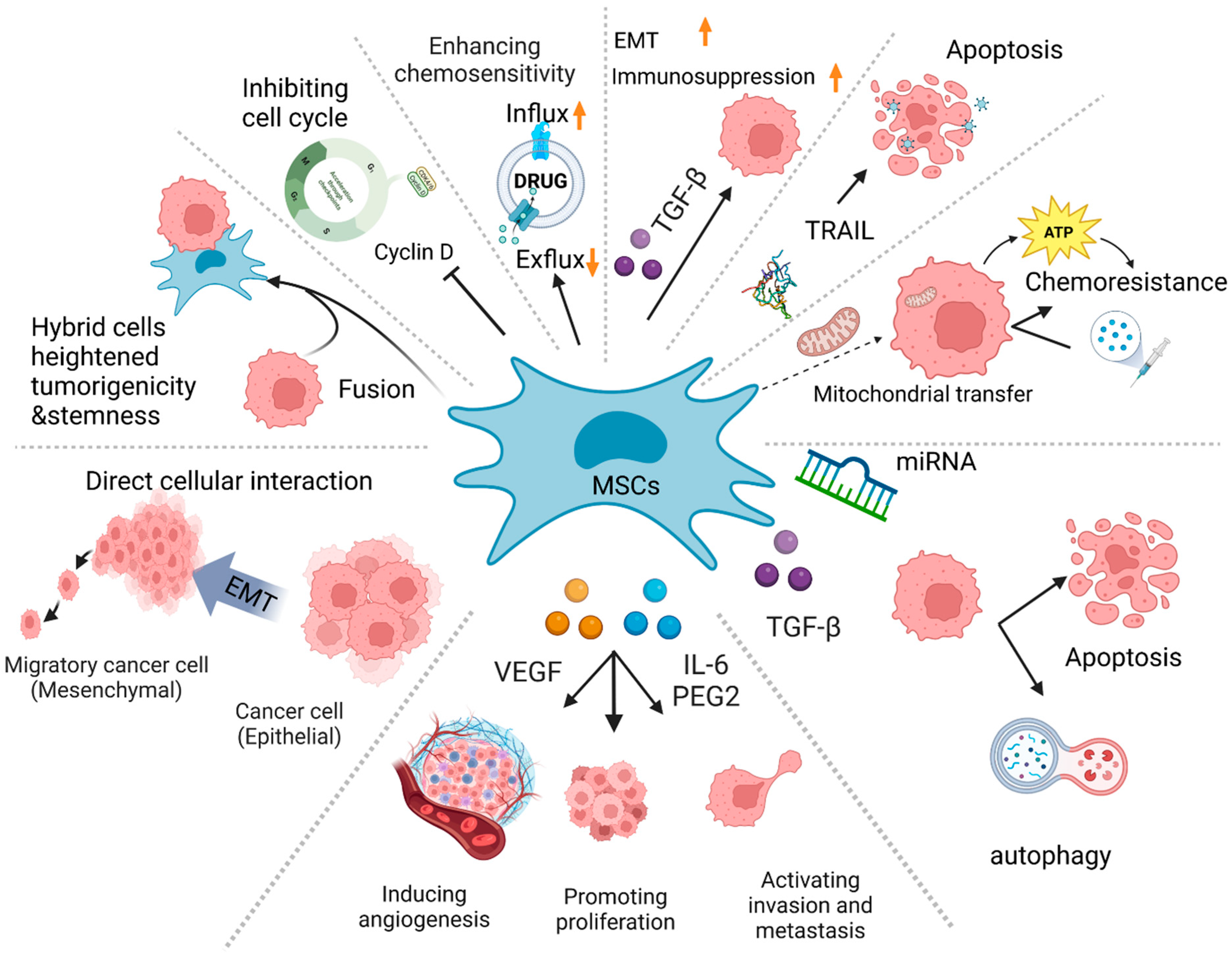 Biomedicines 11 01182 g001