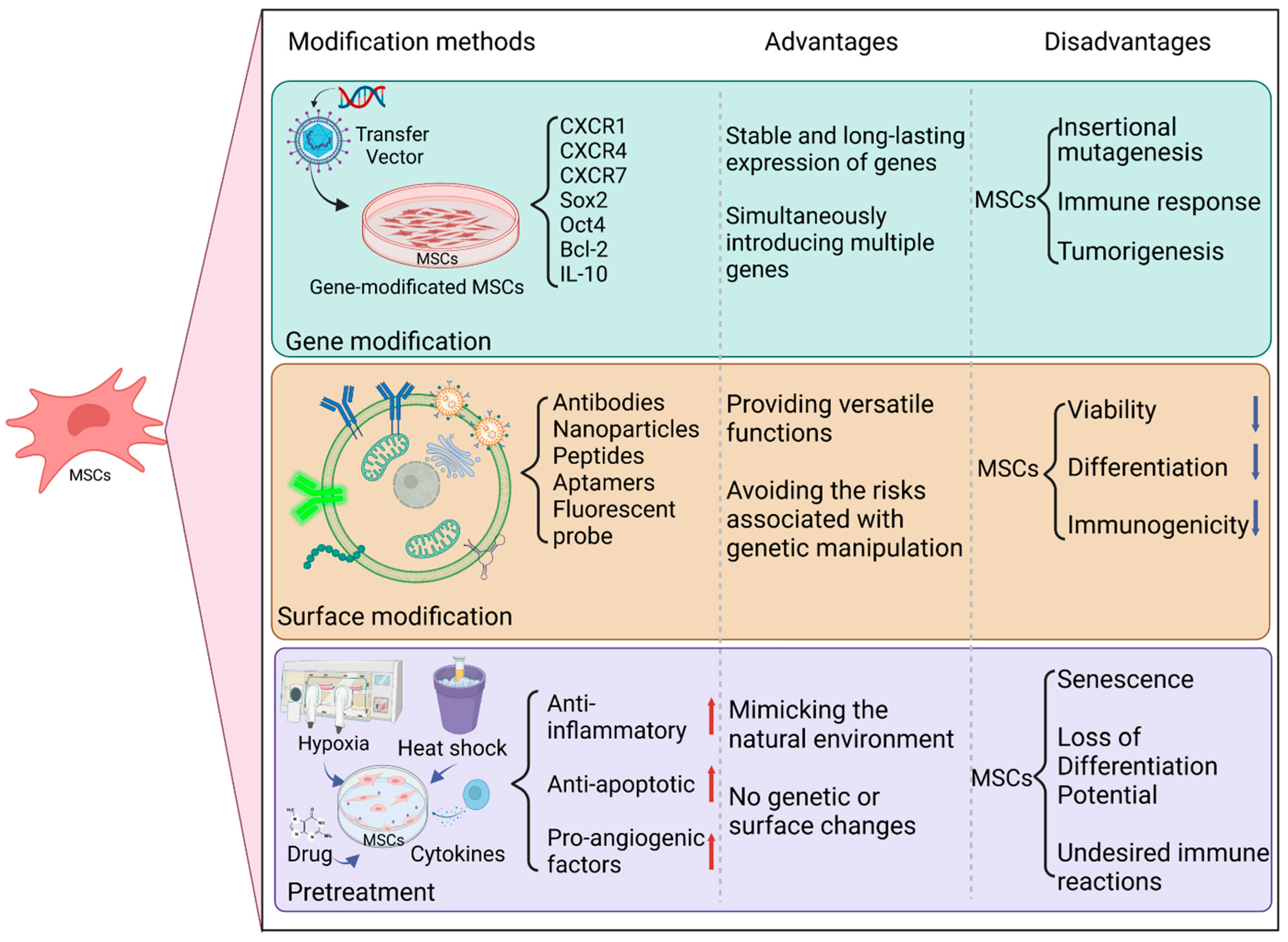 Biomedicines 11 01182 g002
