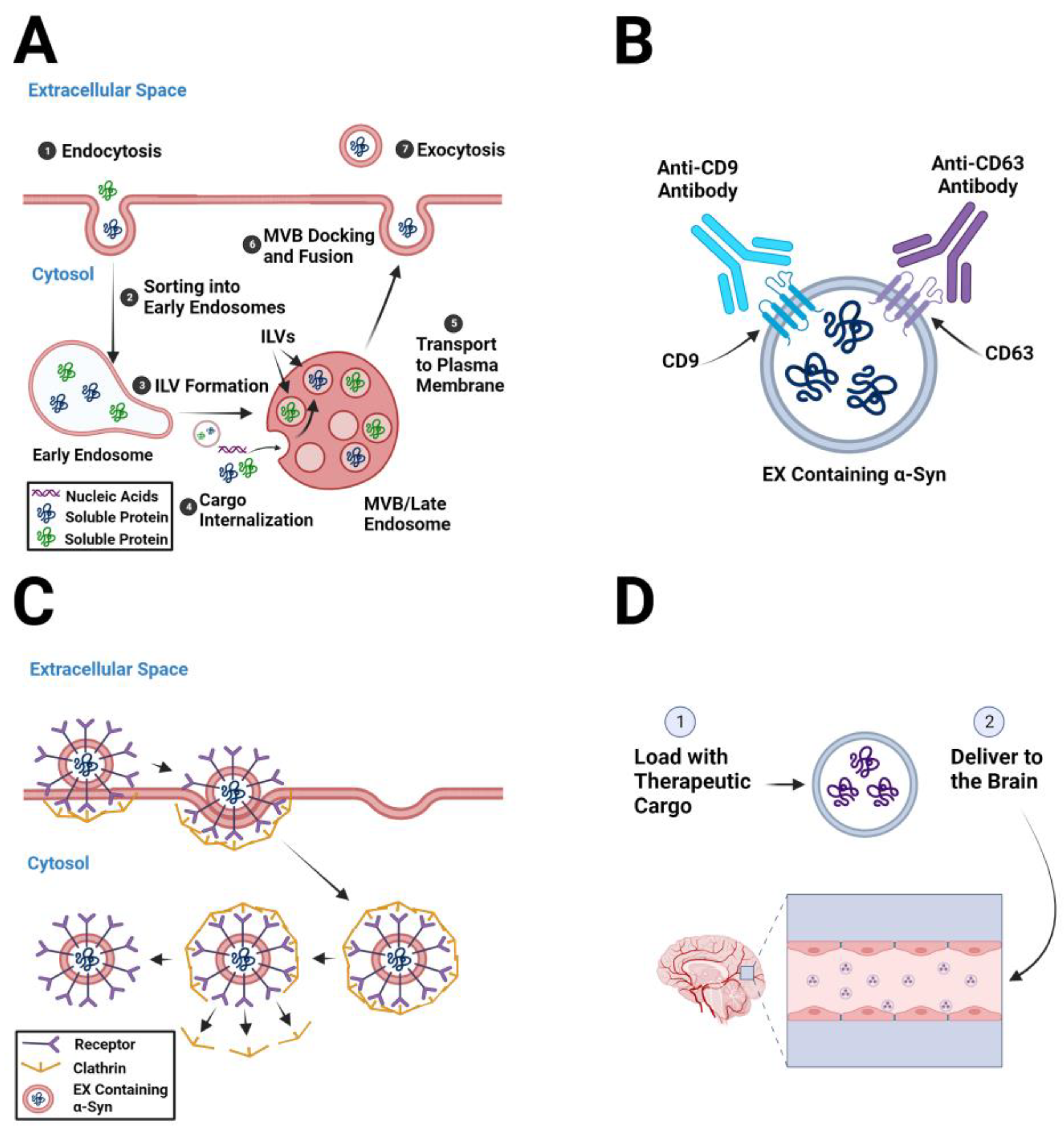 Biomedicines 11 01187 g002 Biomedicines 11 01187 g002