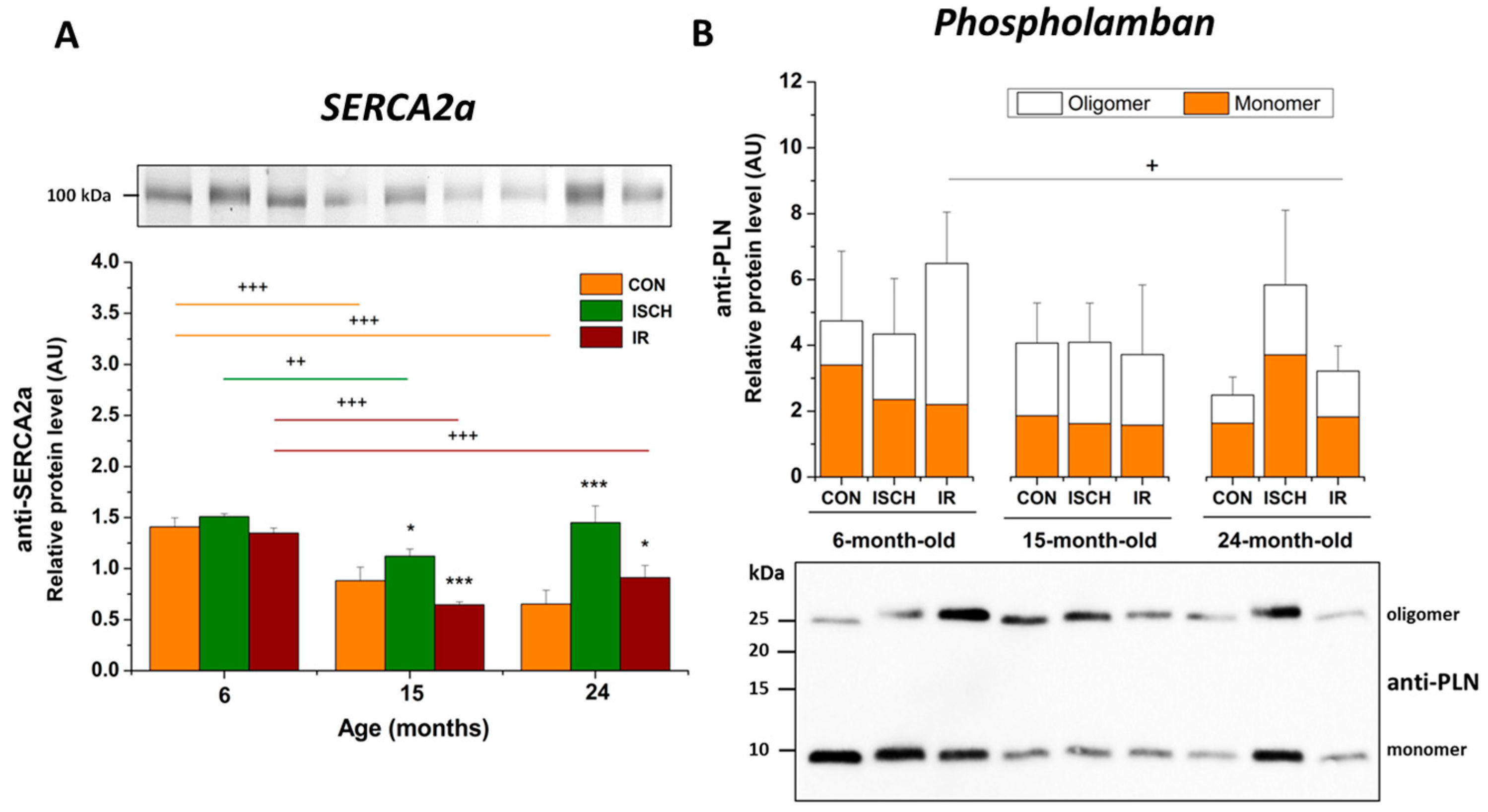 Biomedicines 11 01193 g005 Biomedicines 11 01193 g005