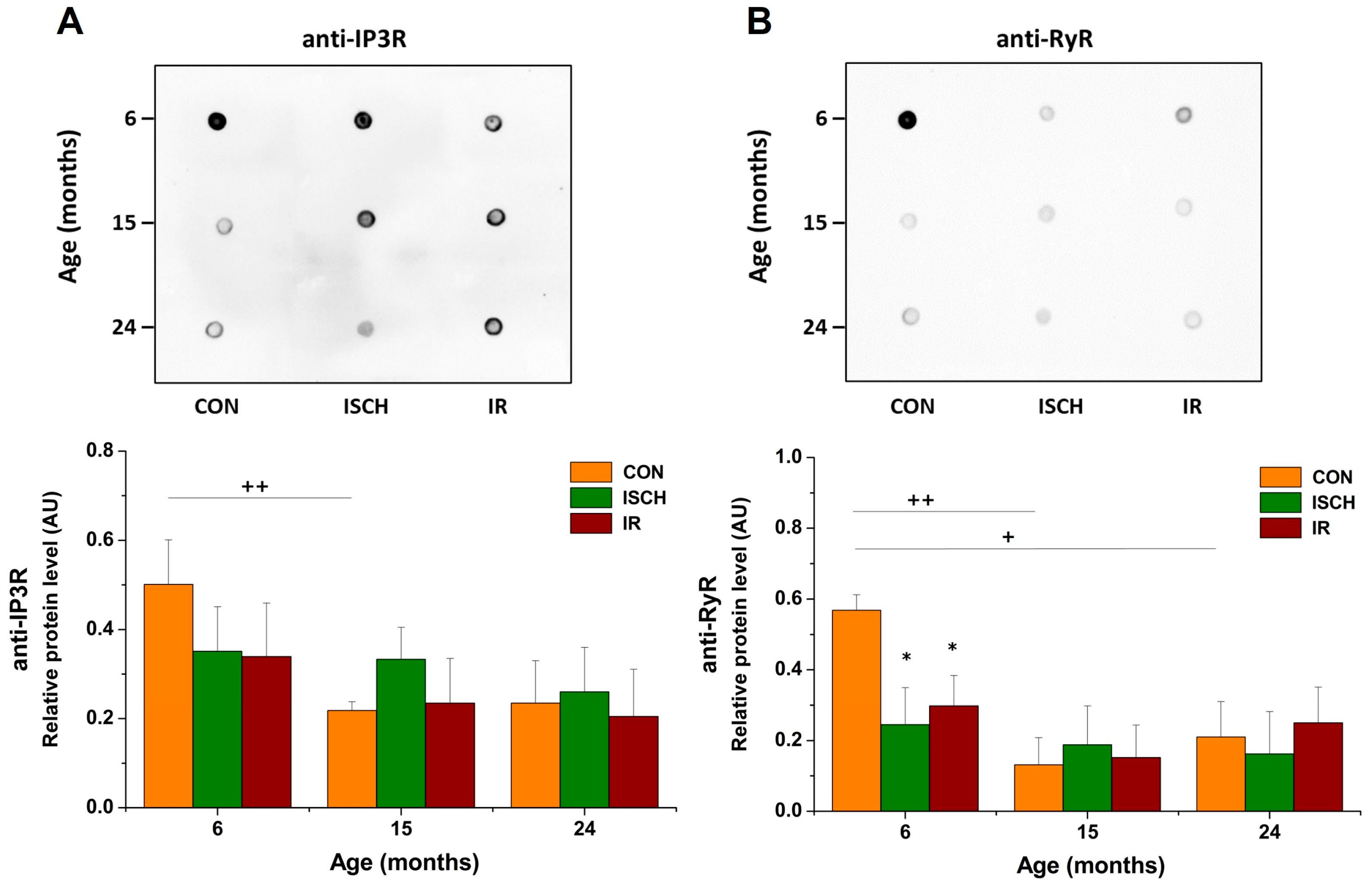 Biomedicines 11 01193 g006 Biomedicines 11 01193 g006
