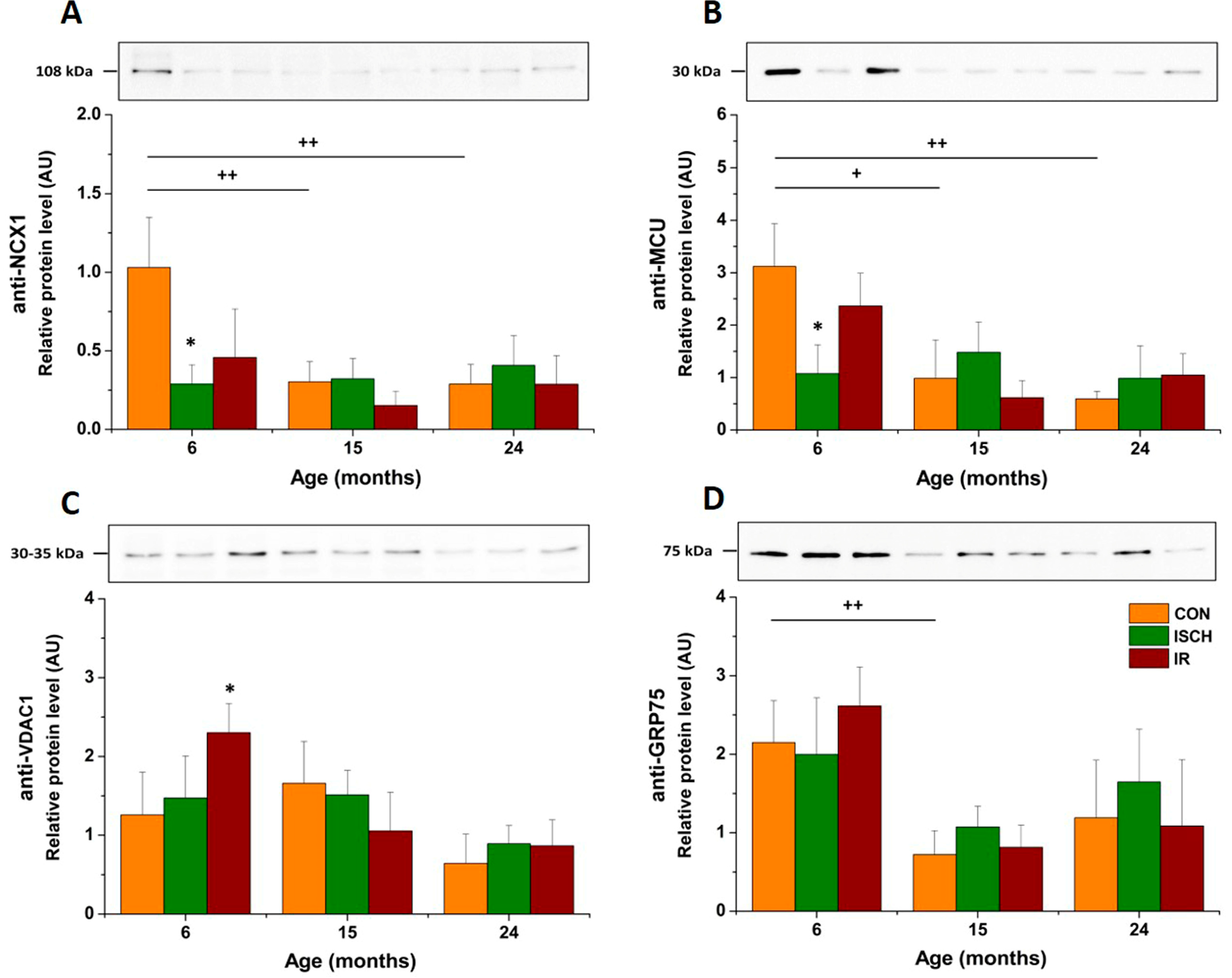 Biomedicines 11 01193 g007 Biomedicines 11 01193 g007