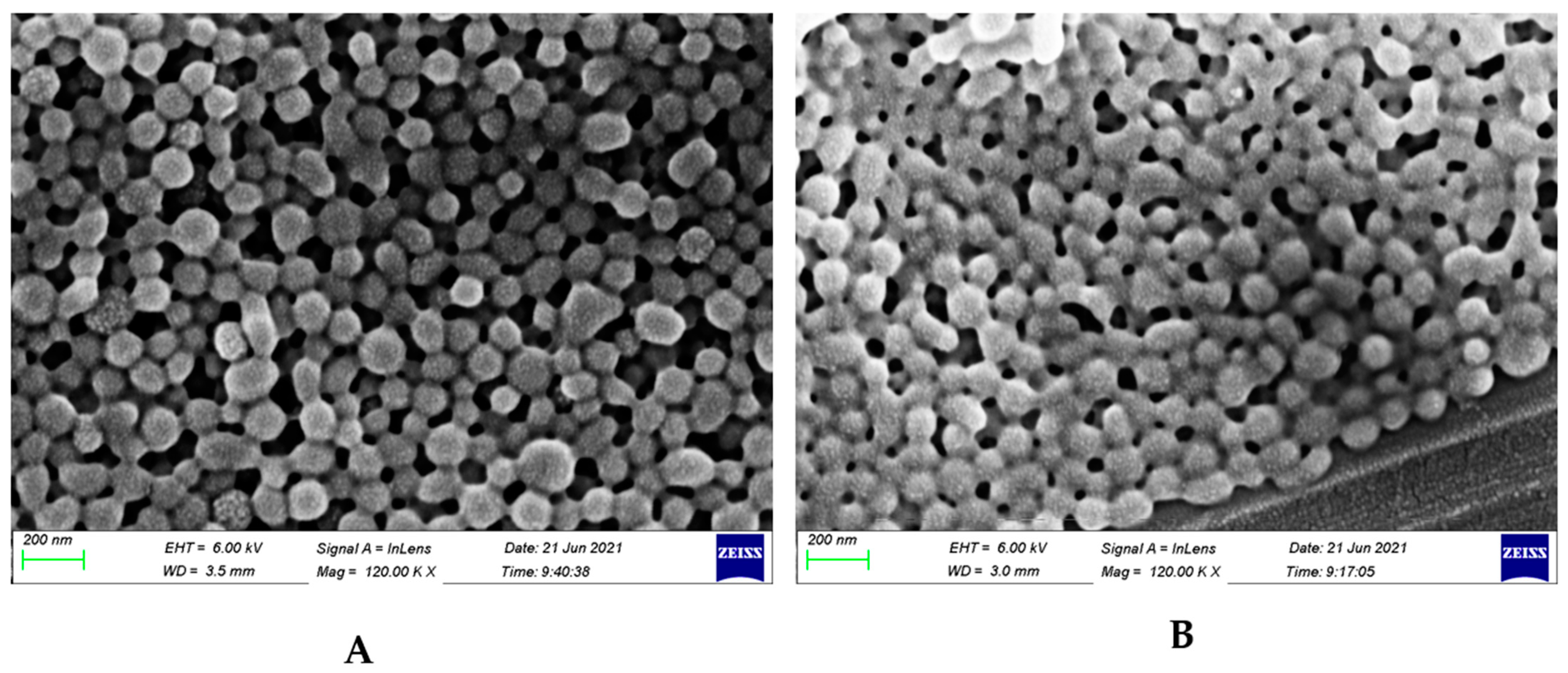 Biomedicines 11 01201 g004 Biomedicines 11 01201 g004