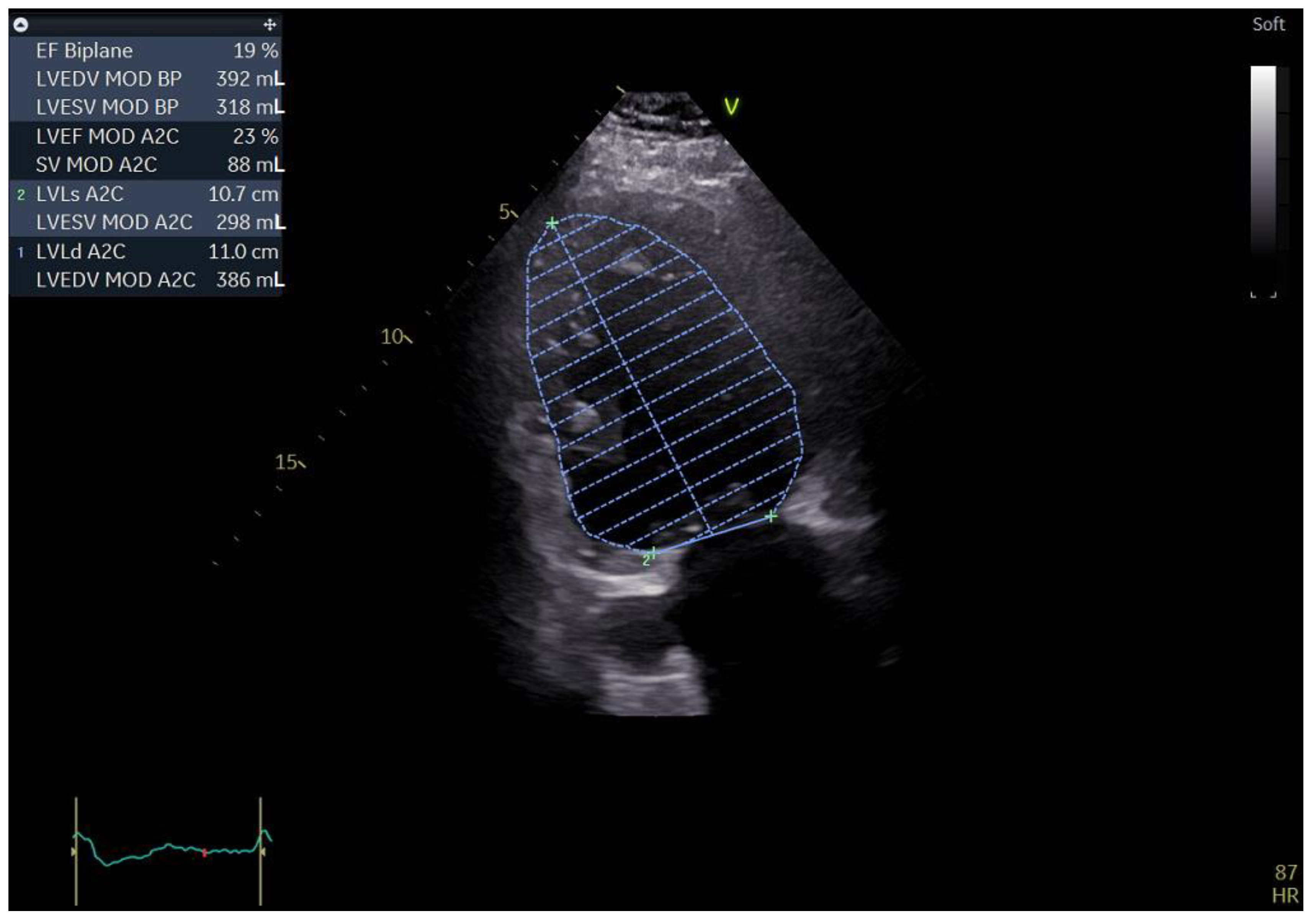 Biomedicines 11 01205 g001