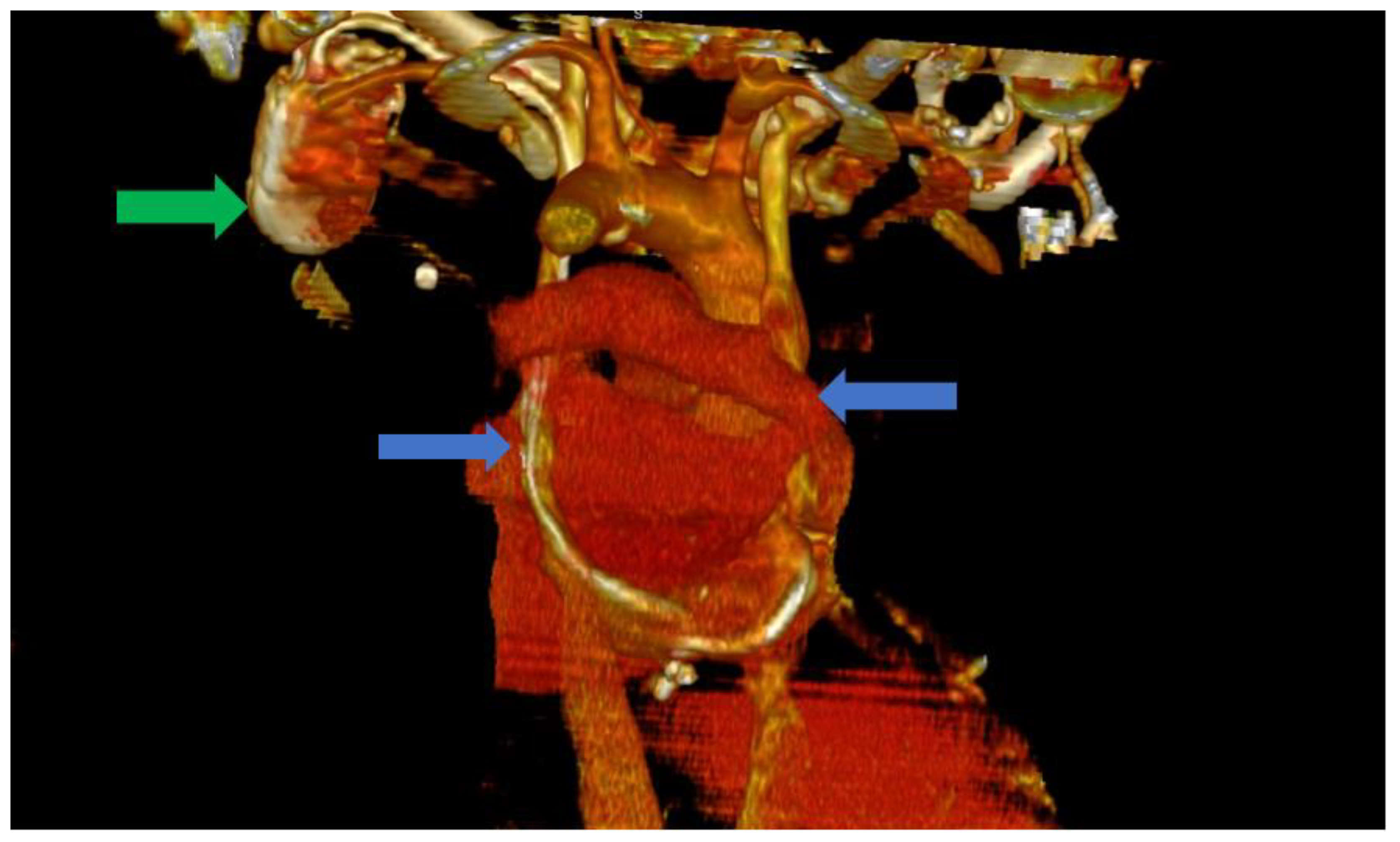Biomedicines 11 01205 g003