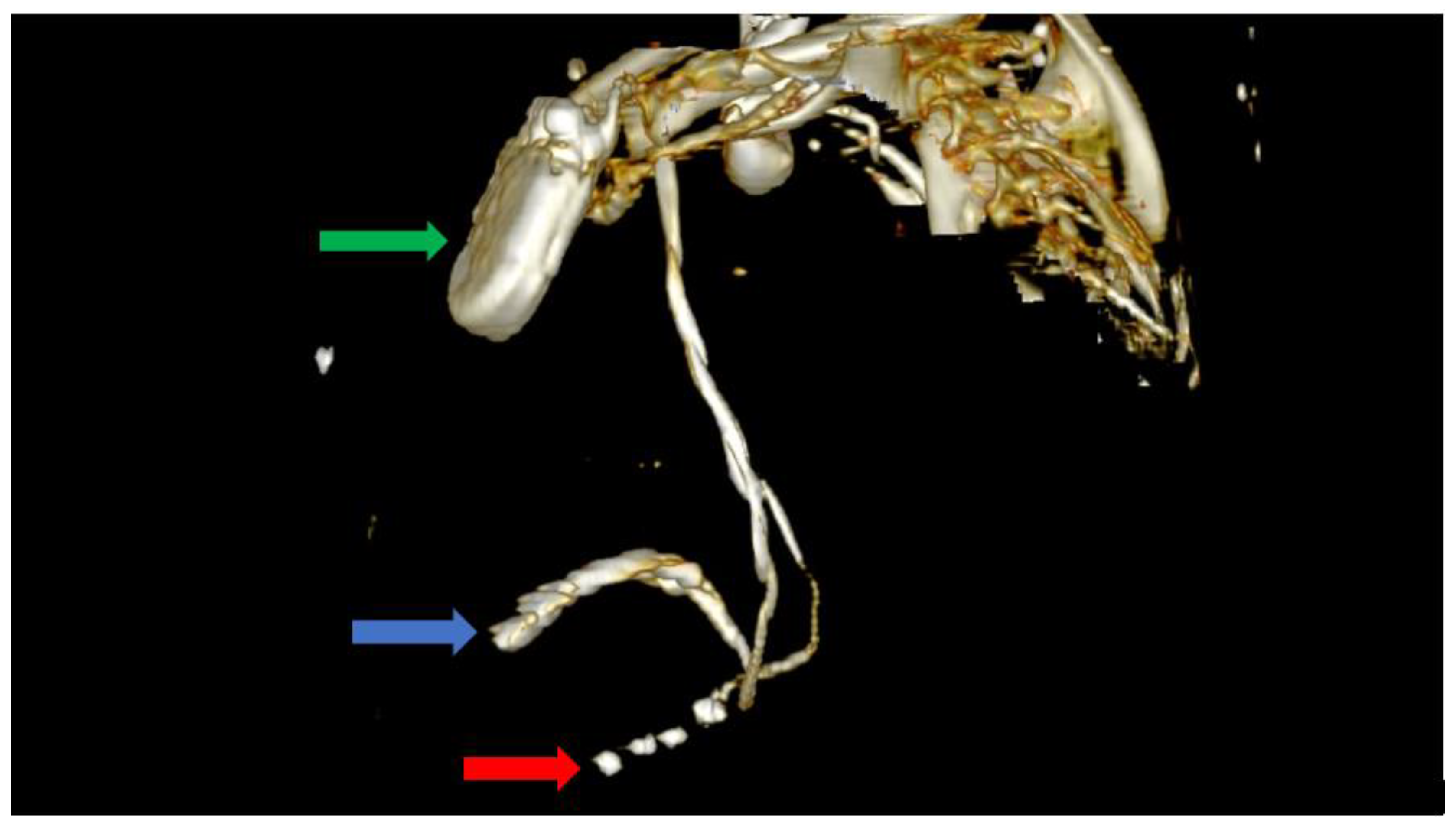 Biomedicines 11 01205 g006