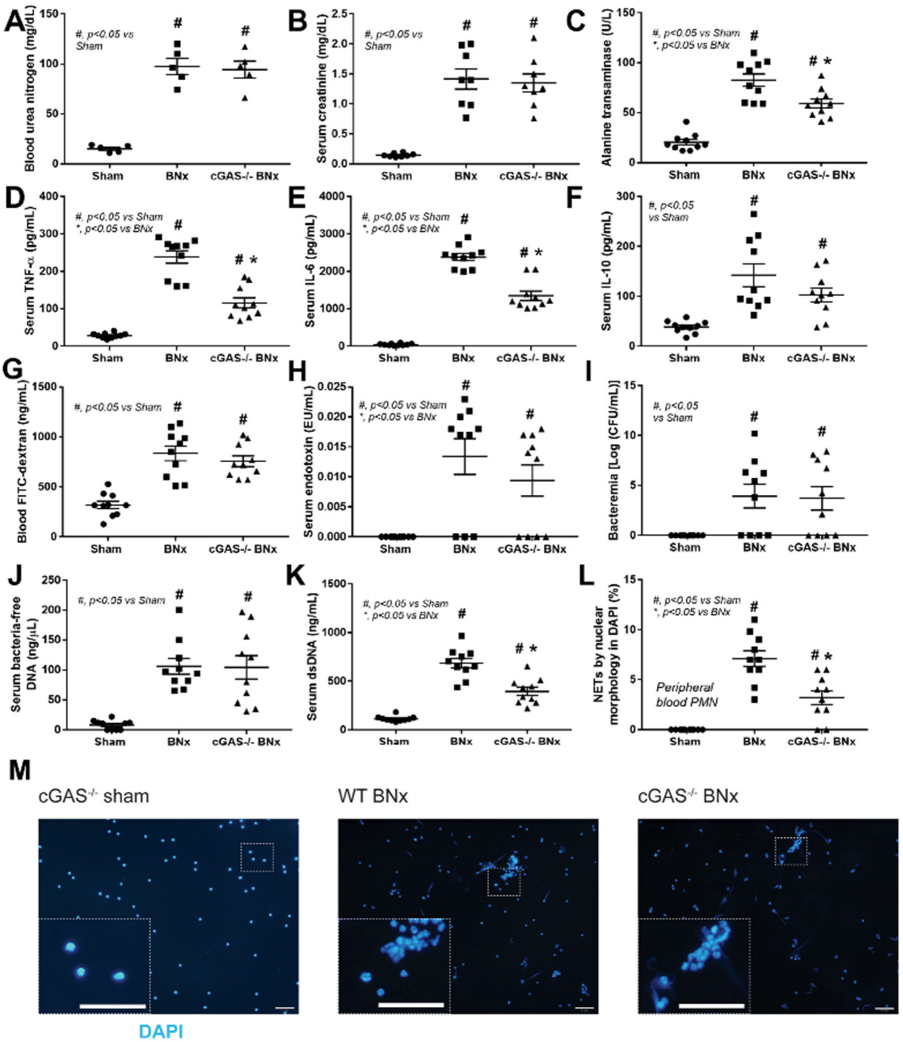 Biomedicines 11 01208 g001 Biomedicines 11 01208 g001