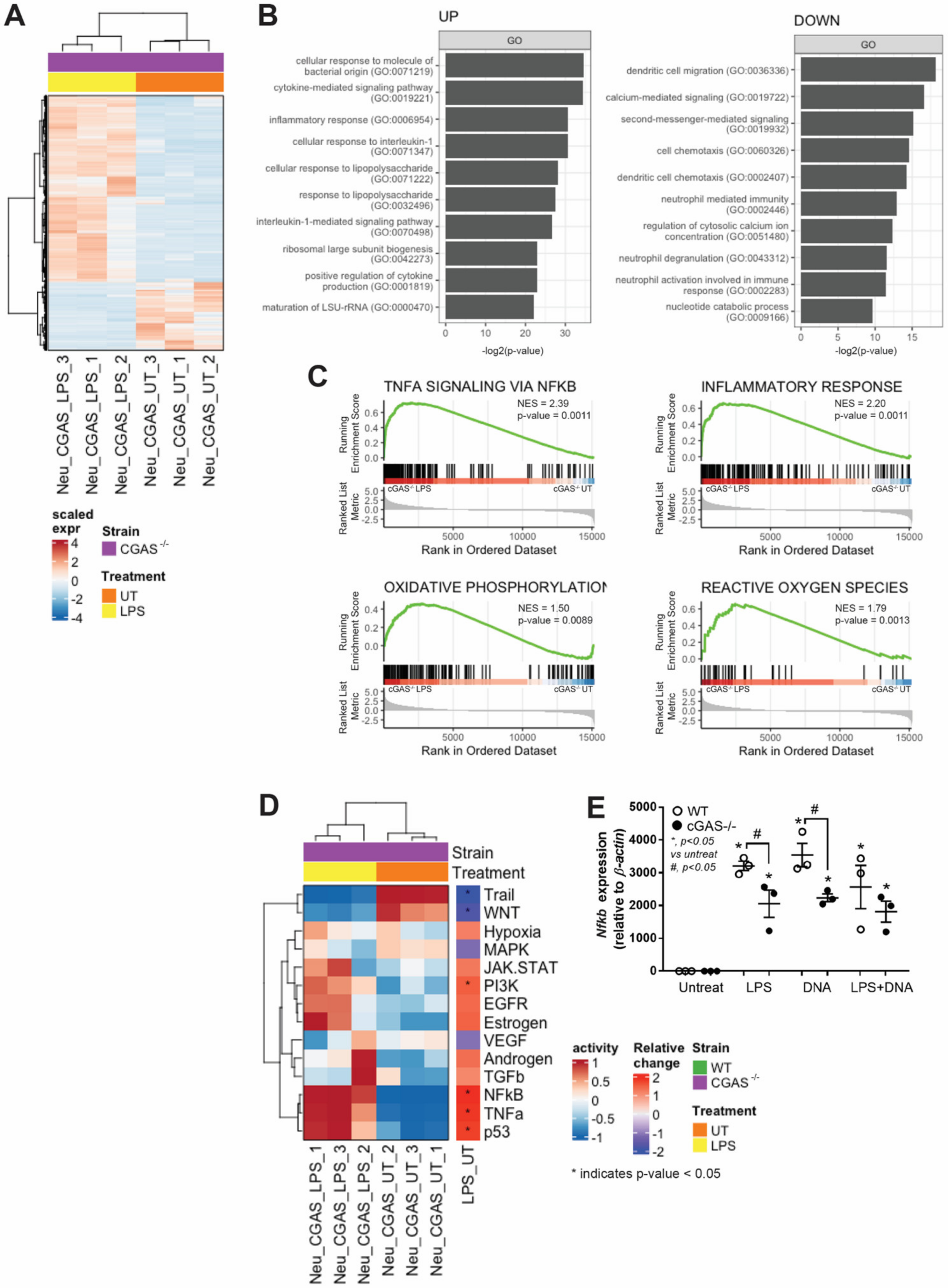 Biomedicines 11 01208 g003 Biomedicines 11 01208 g003