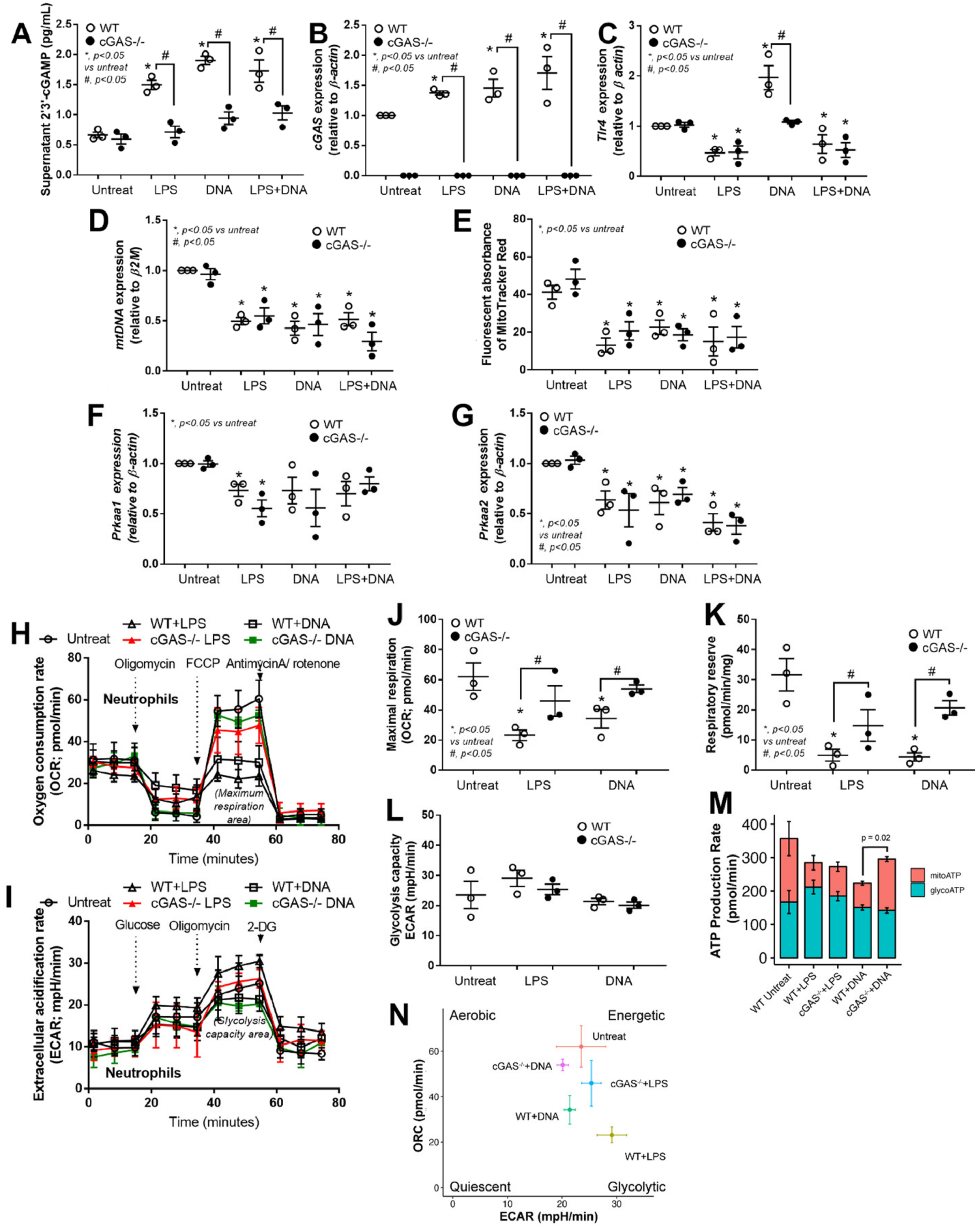Biomedicines 11 01208 g004 Biomedicines 11 01208 g004
