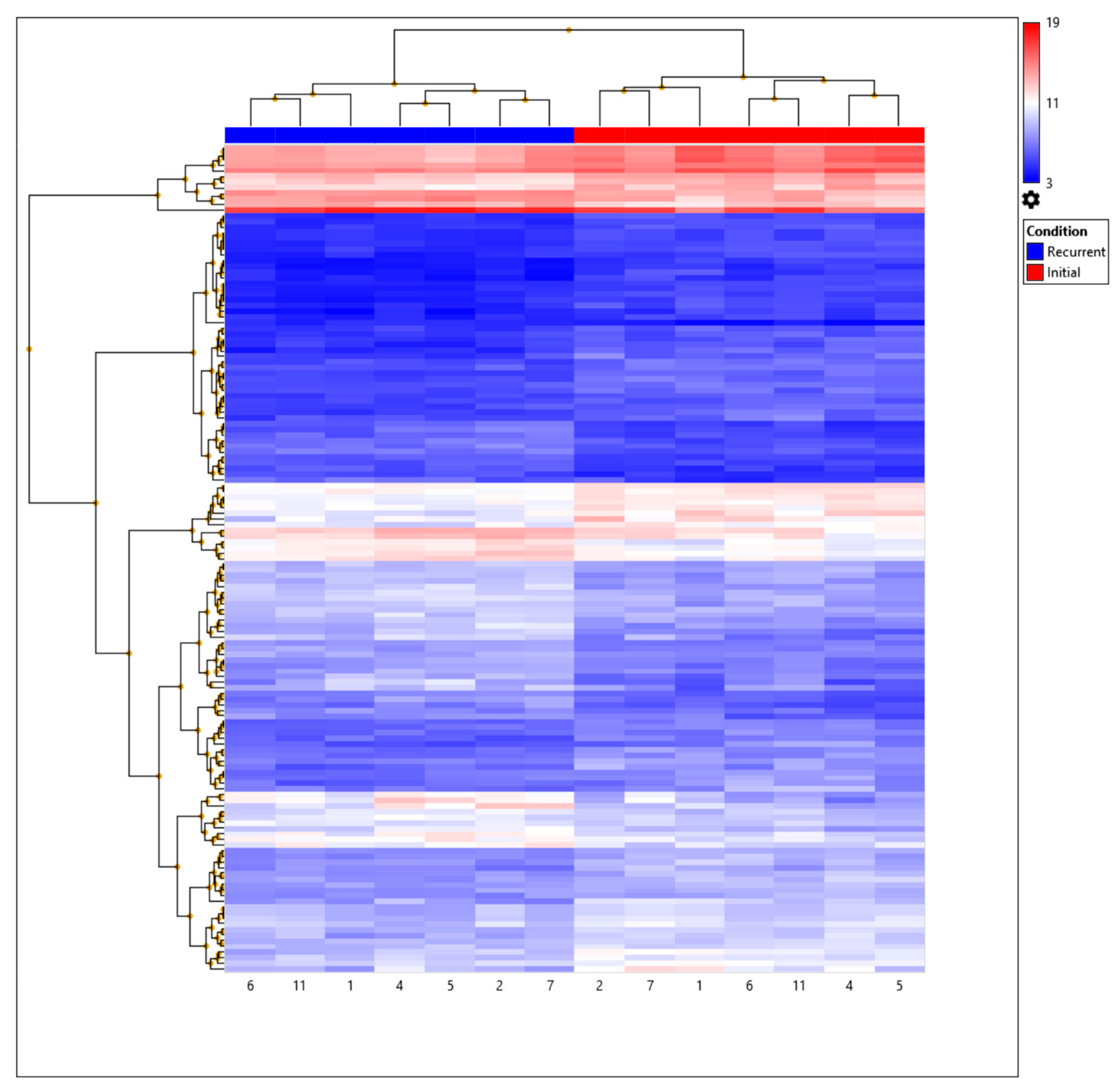 Biomedicines 11 01219 g001 Biomedicines 11 01219 g001