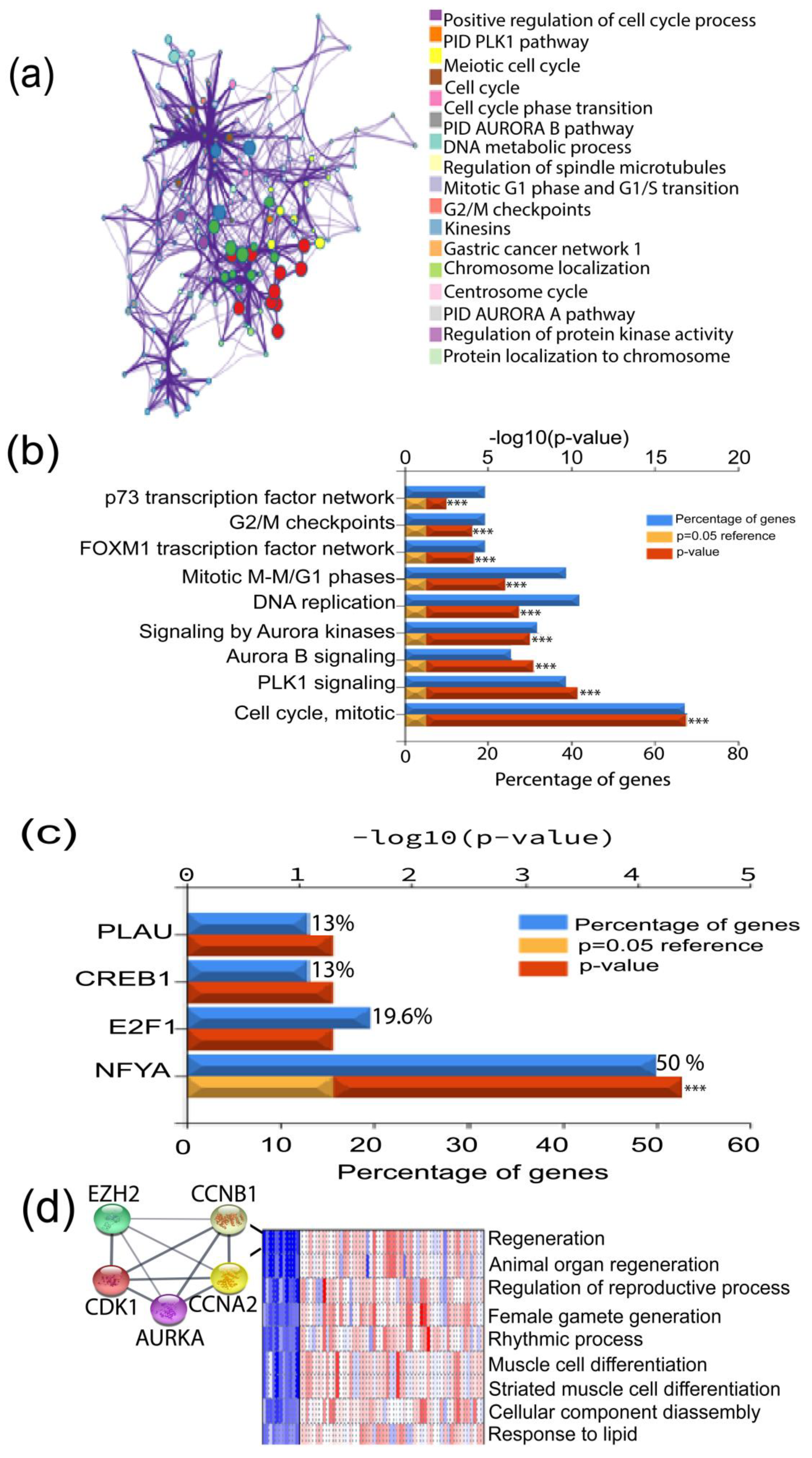 Biomedicines 11 01223 g003 Biomedicines 11 01223 g003