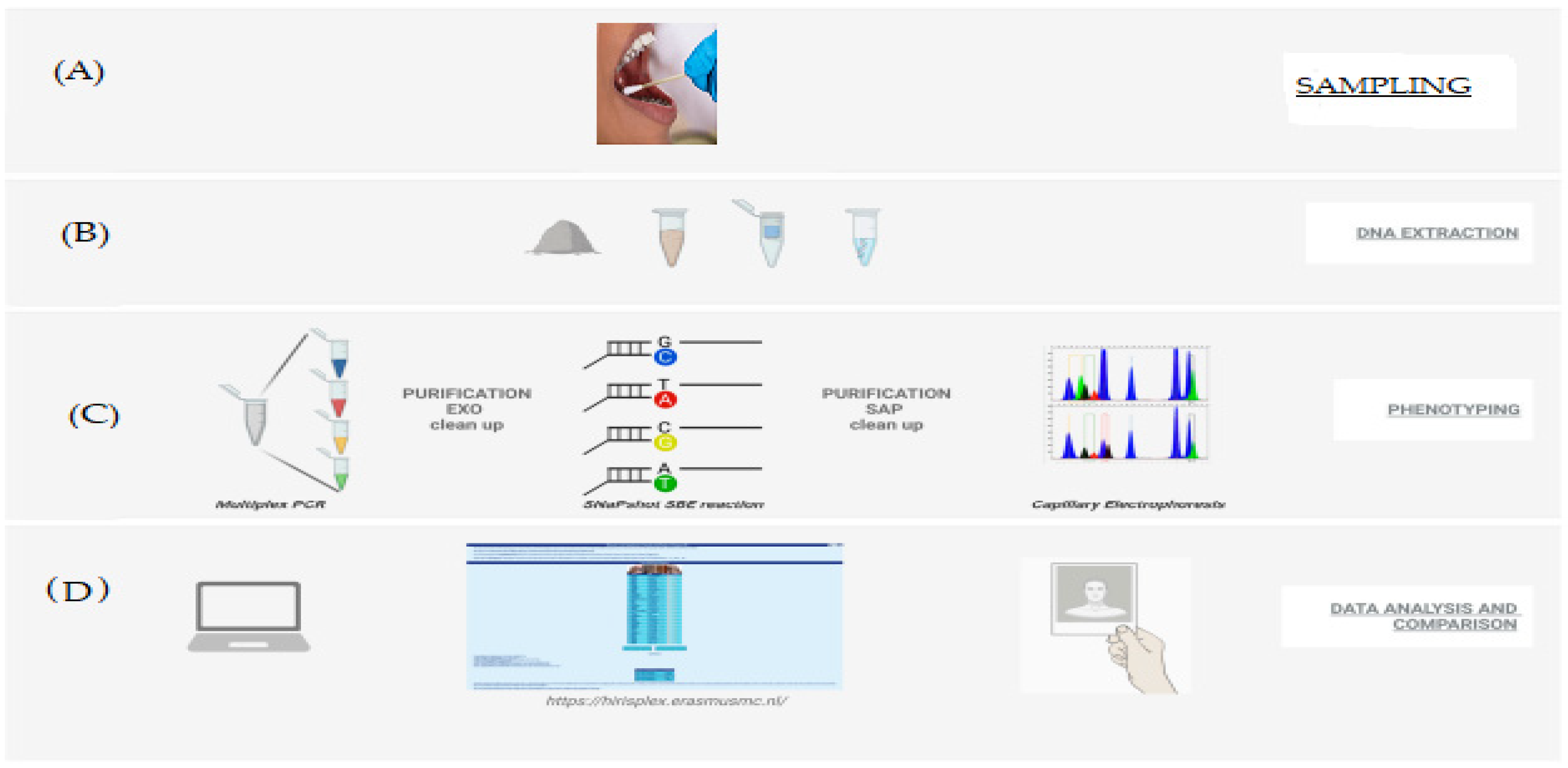 Biomedicines 11 01228 g005
