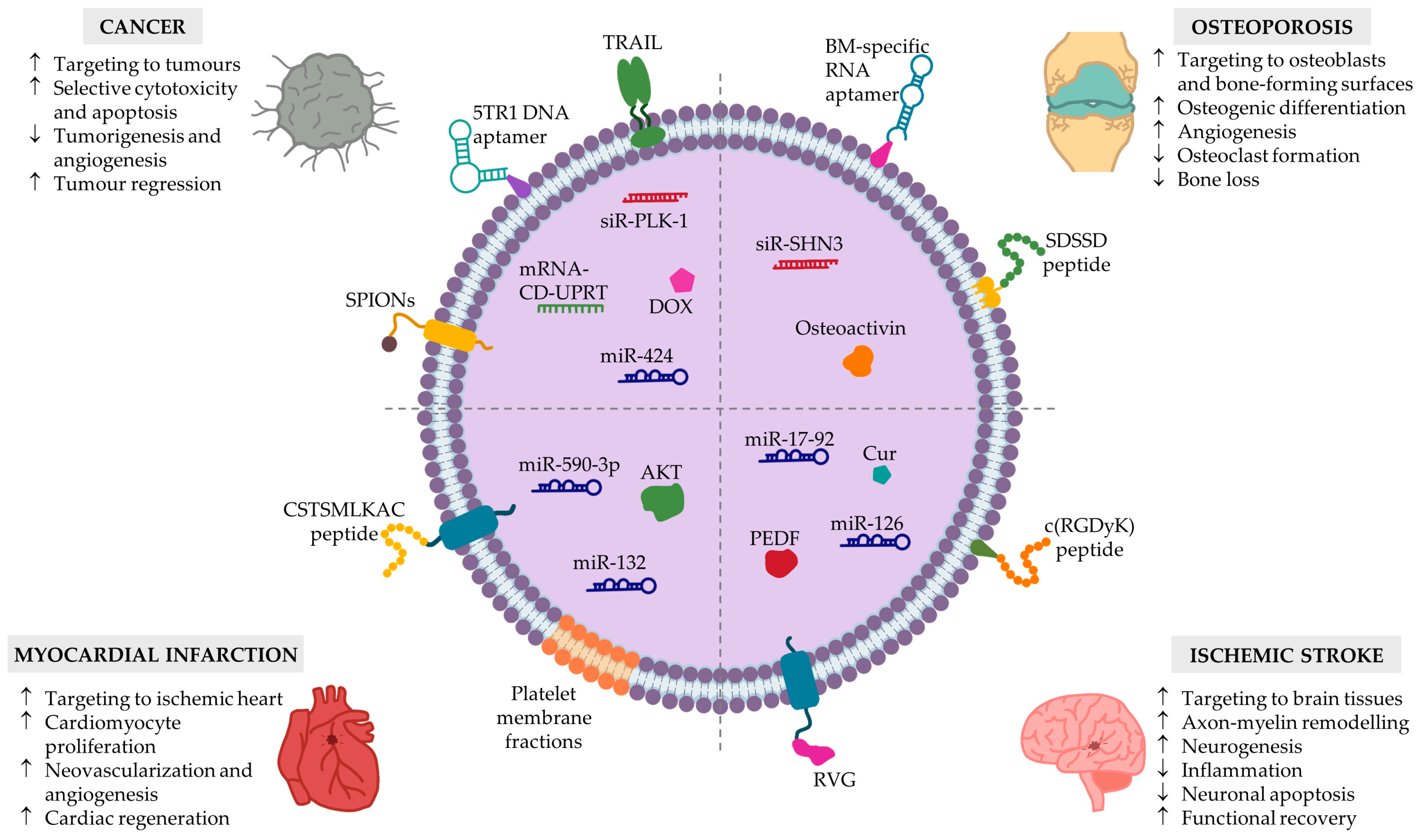 Biomedicines 11 01231 g003 Biomedicines 11 01231 g003