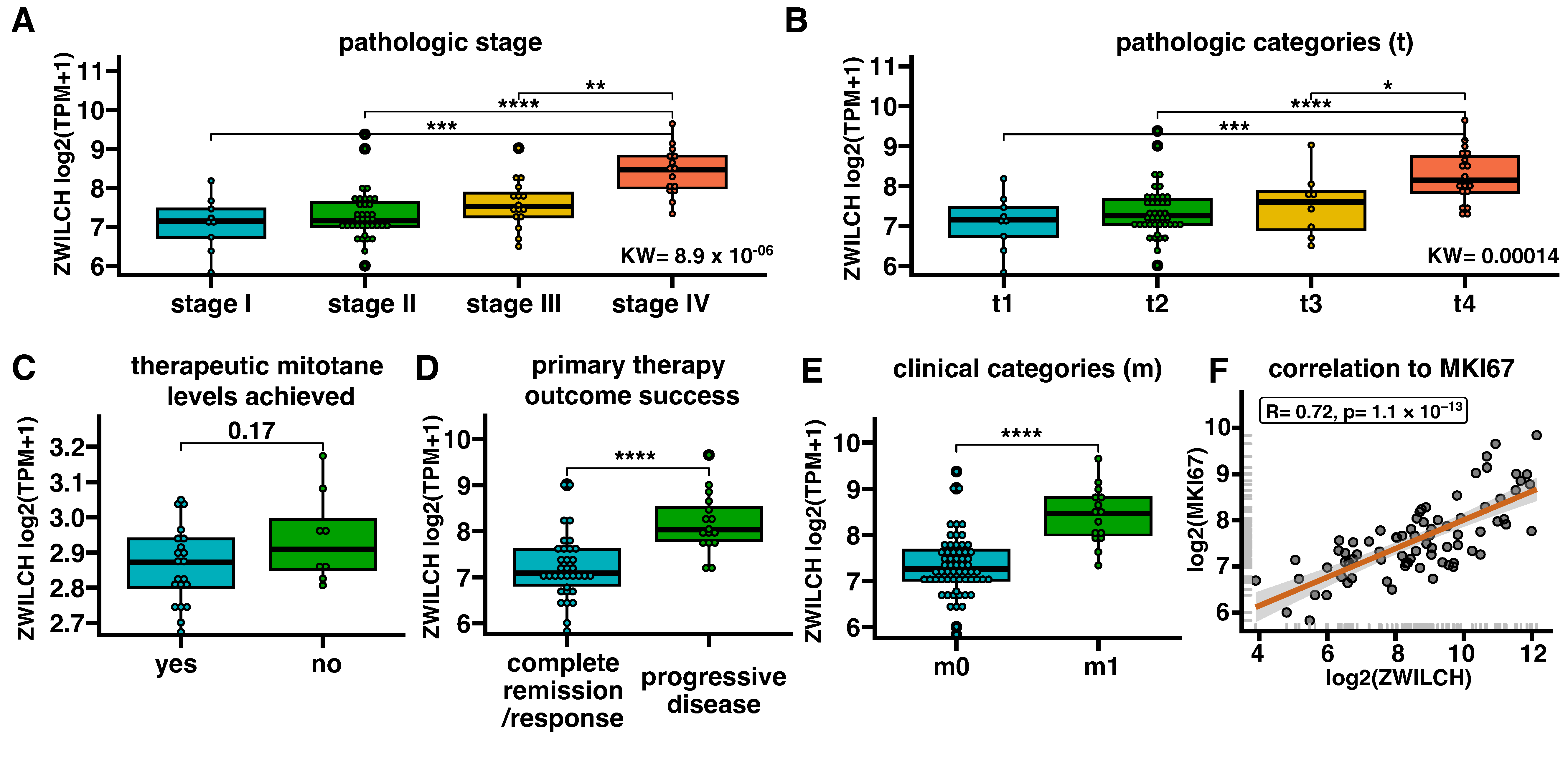 Biomedicines 11 01233 g002