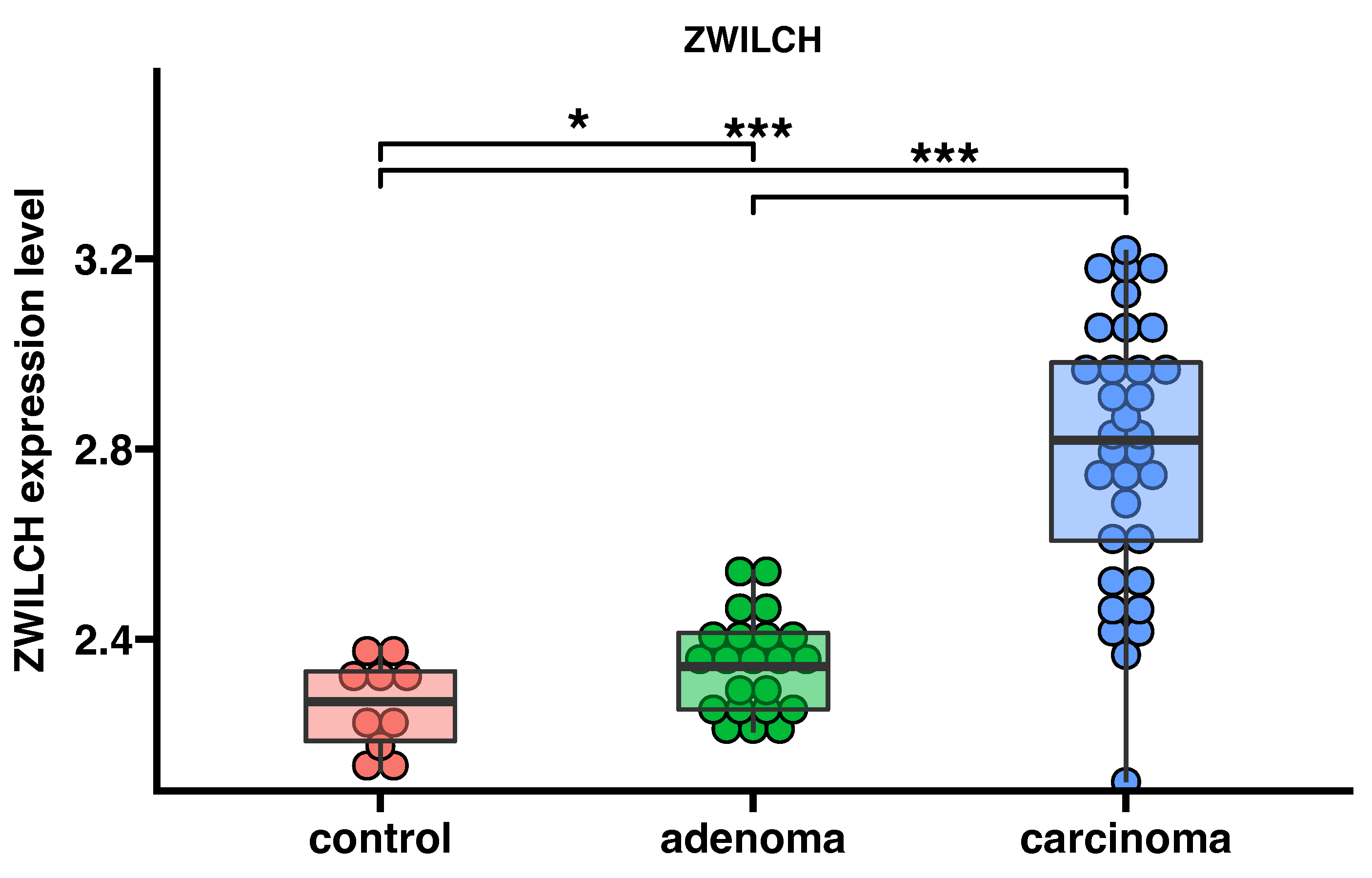 Biomedicines 11 01233 g003