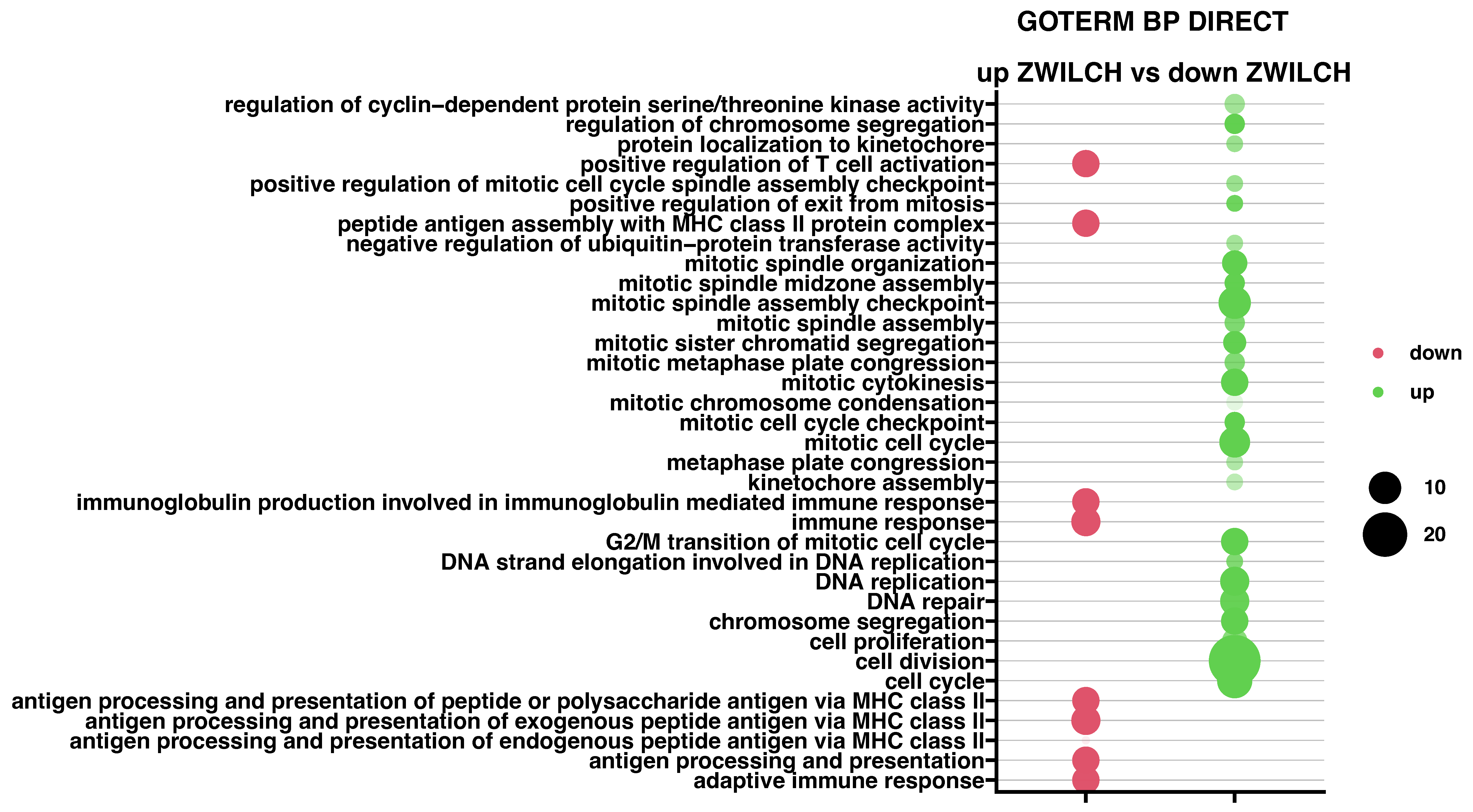 Biomedicines 11 01233 g006