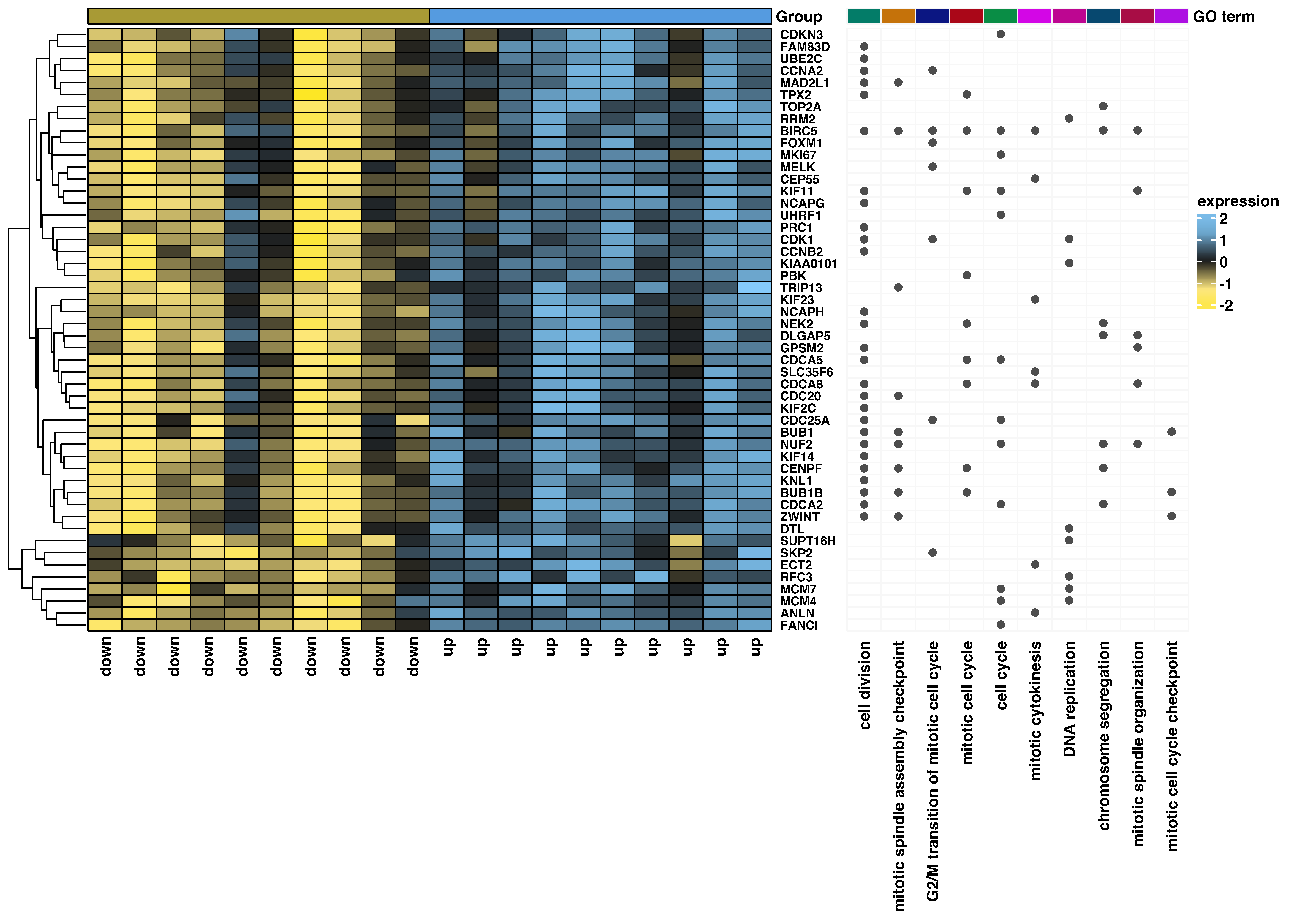 Biomedicines 11 01233 g007