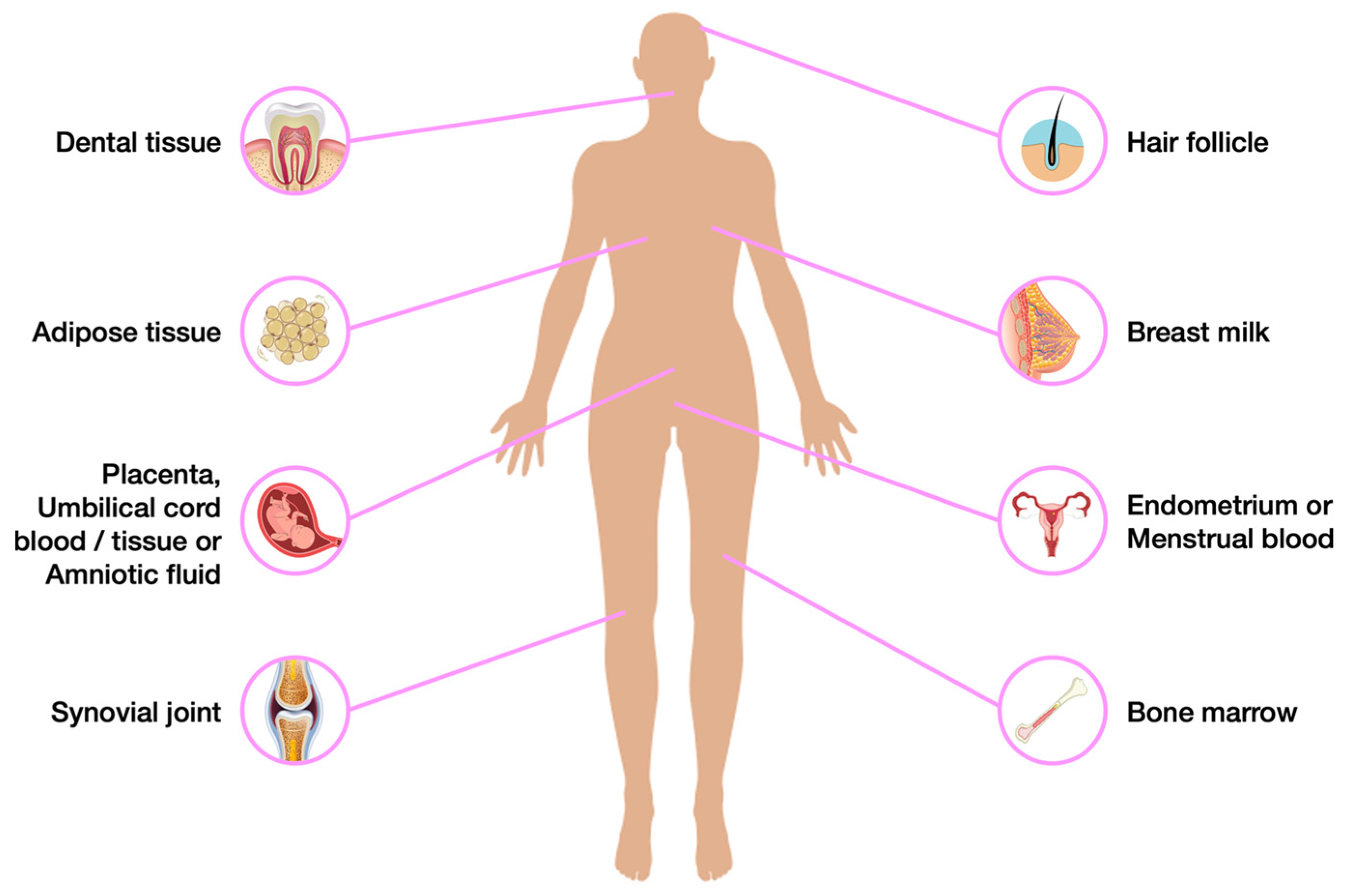 Biomedicines 11 01234 g003 Biomedicines 11 01234 g003