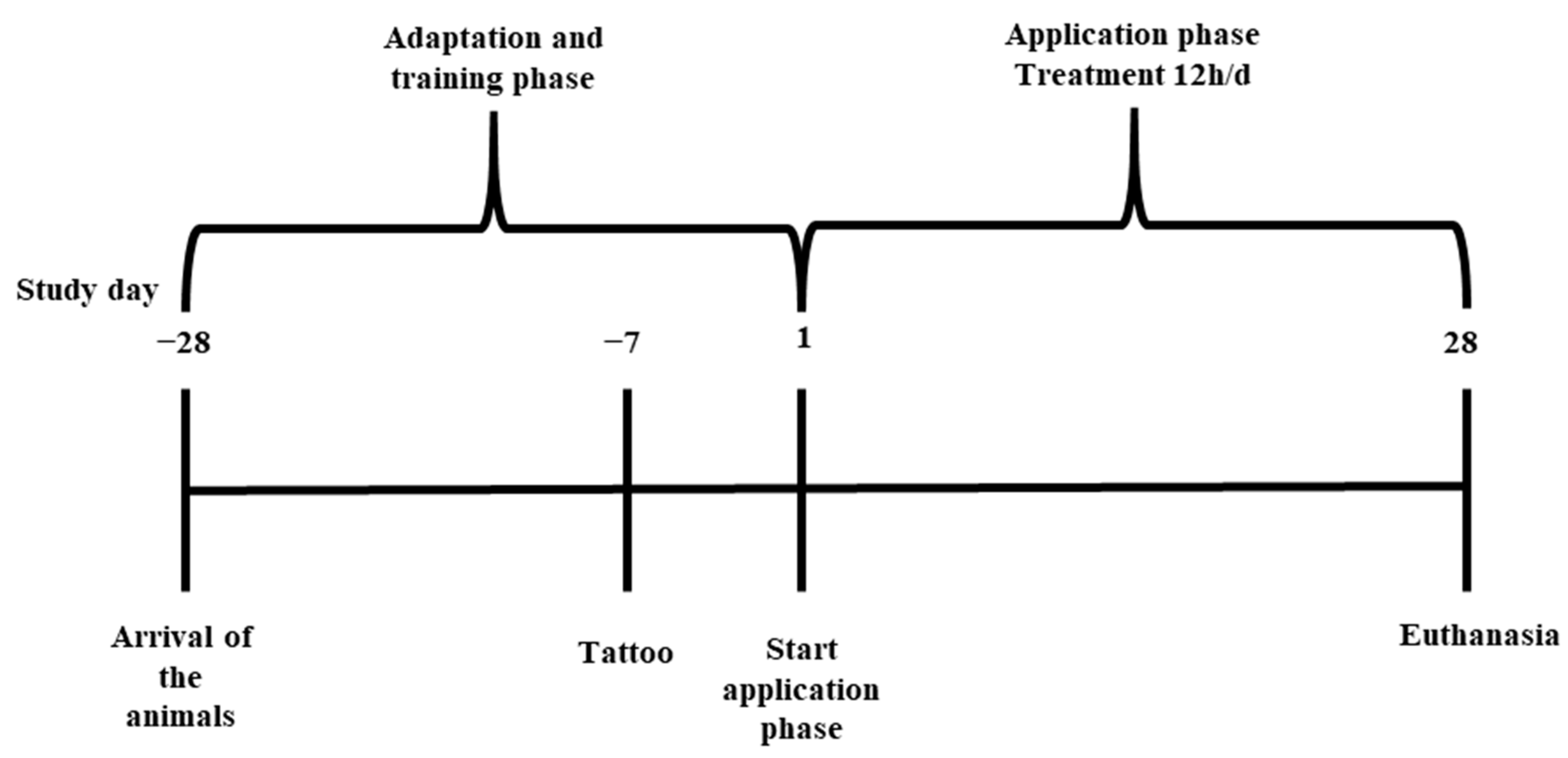 Biomedicines 11 01244 g001