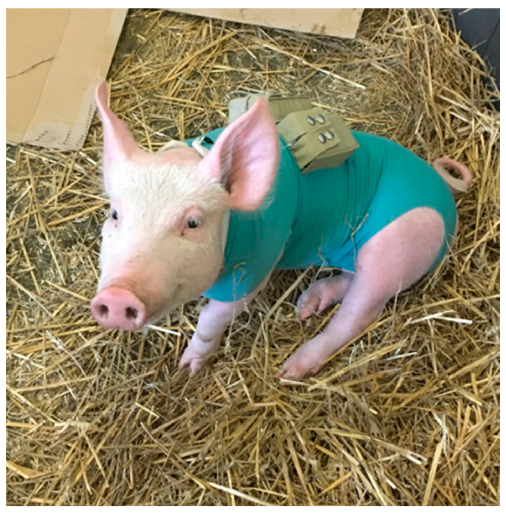 Biomedicines 11 01244 g002