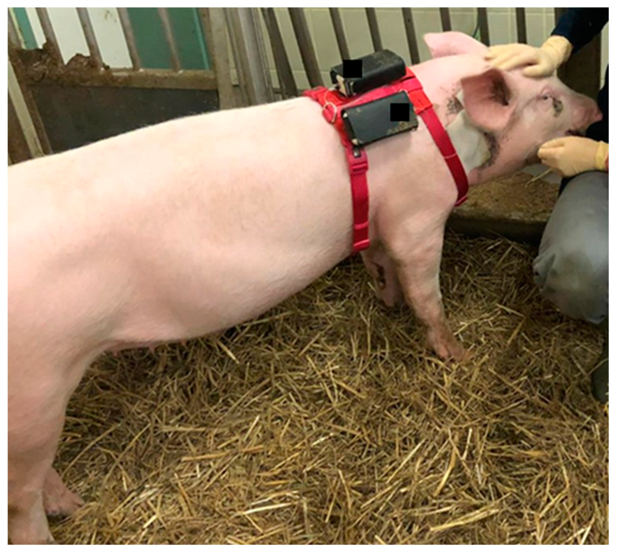 Biomedicines 11 01244 g003