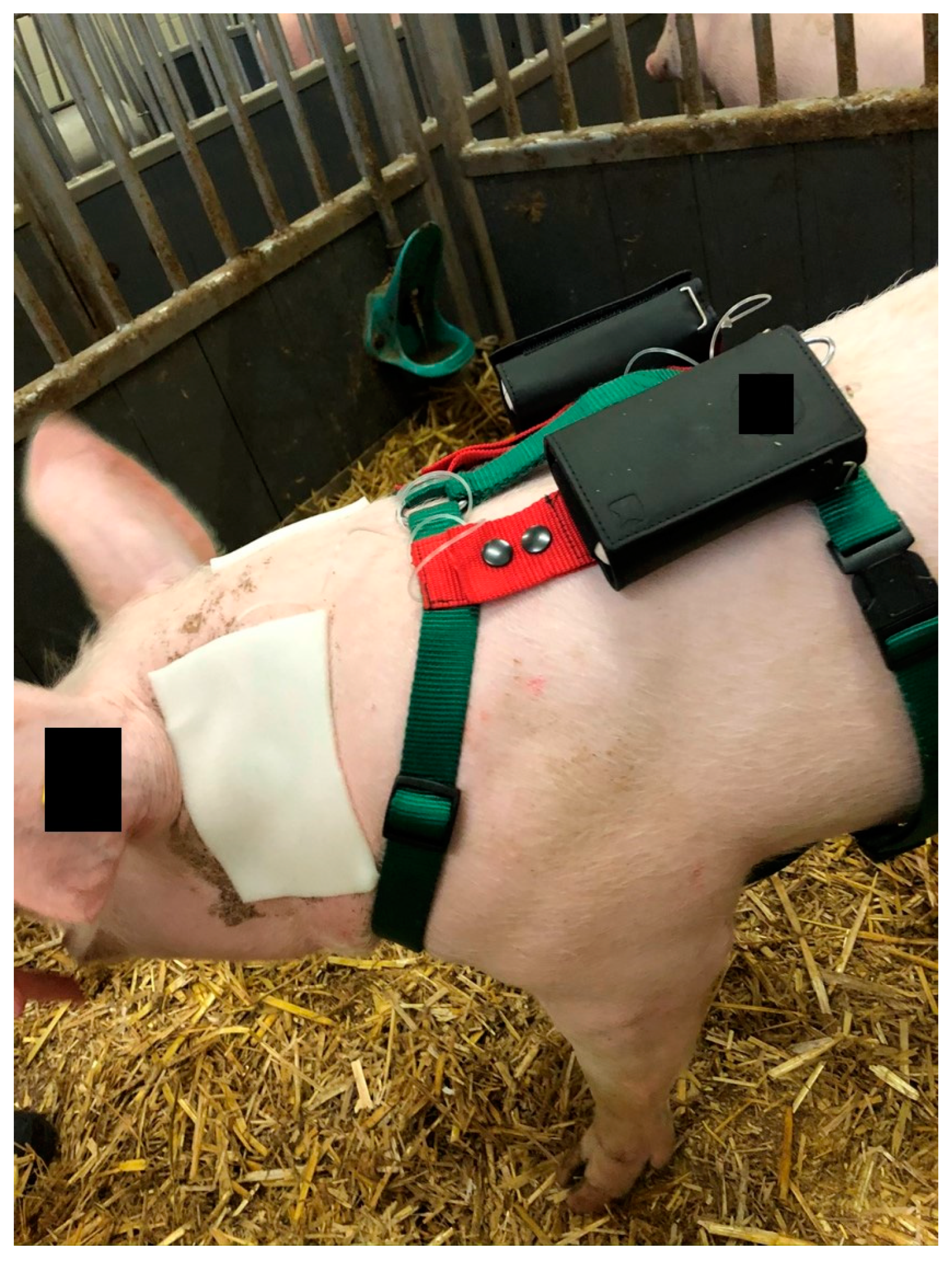 Biomedicines 11 01244 g007