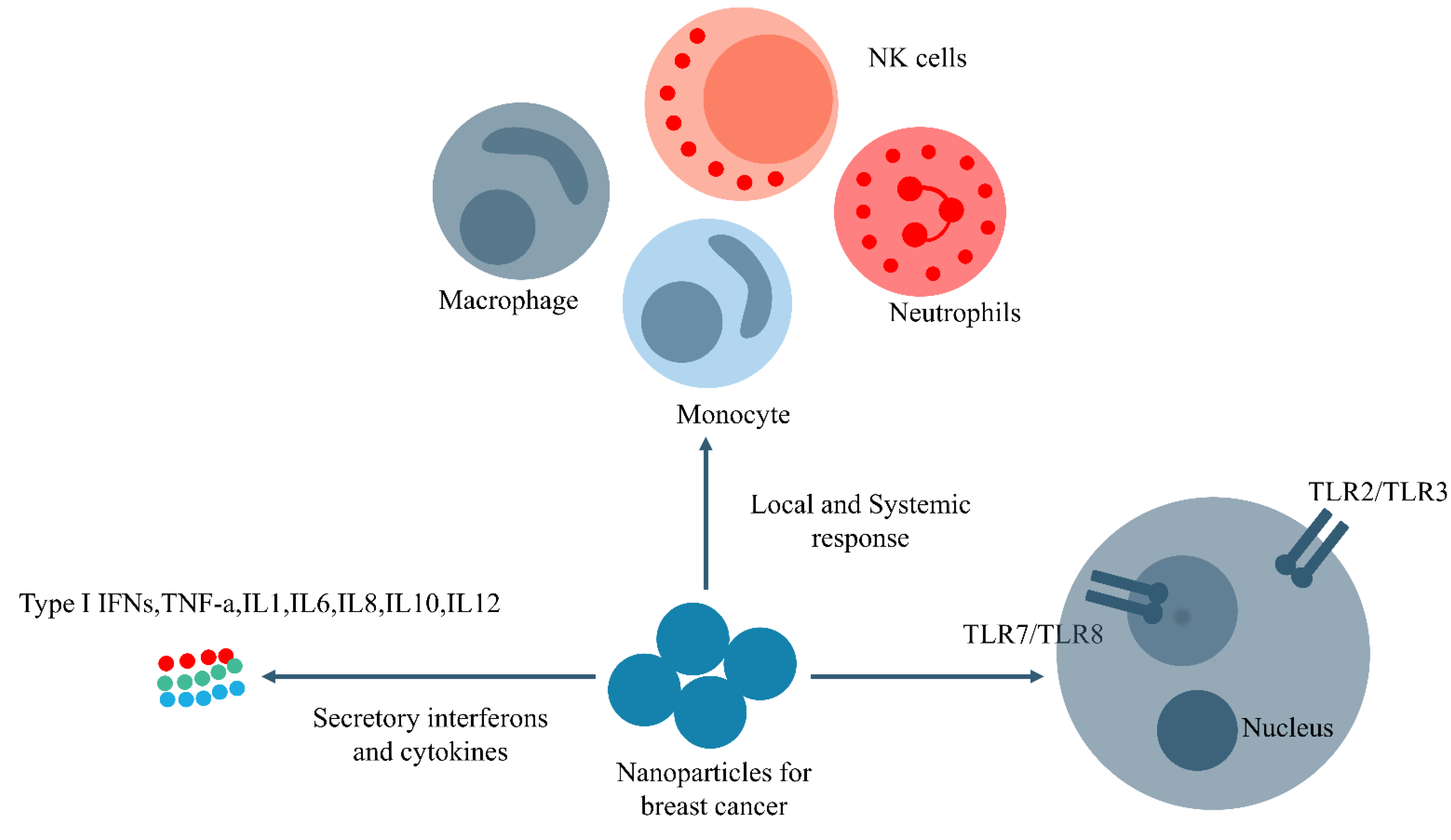 Biomedicines 11 01245 g004