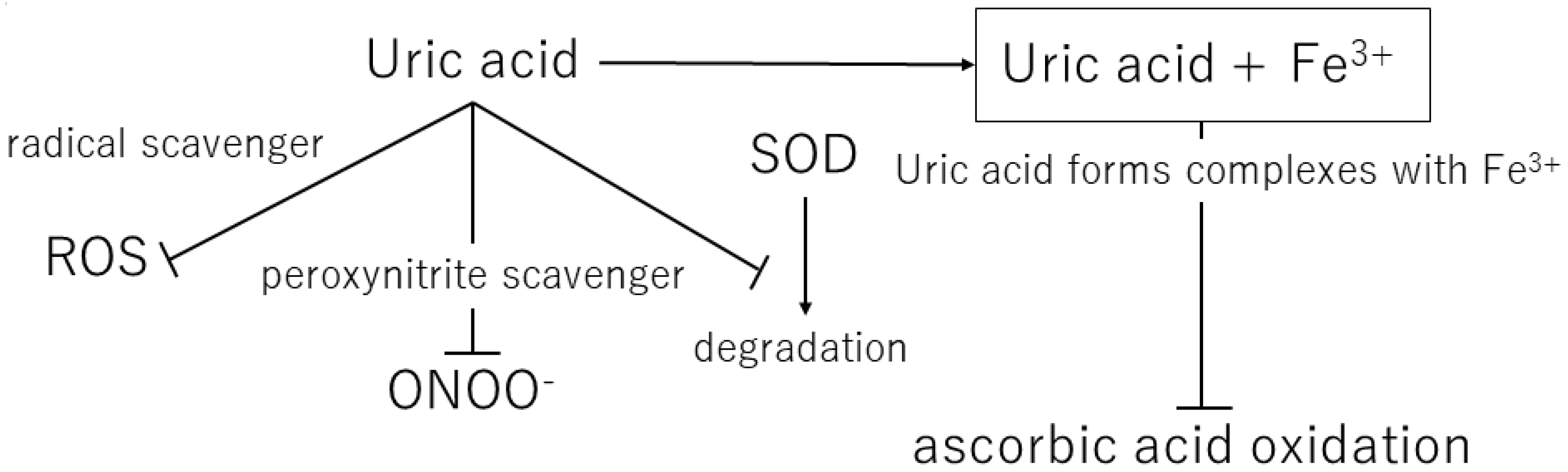 Biomedicines 11 01255 g002