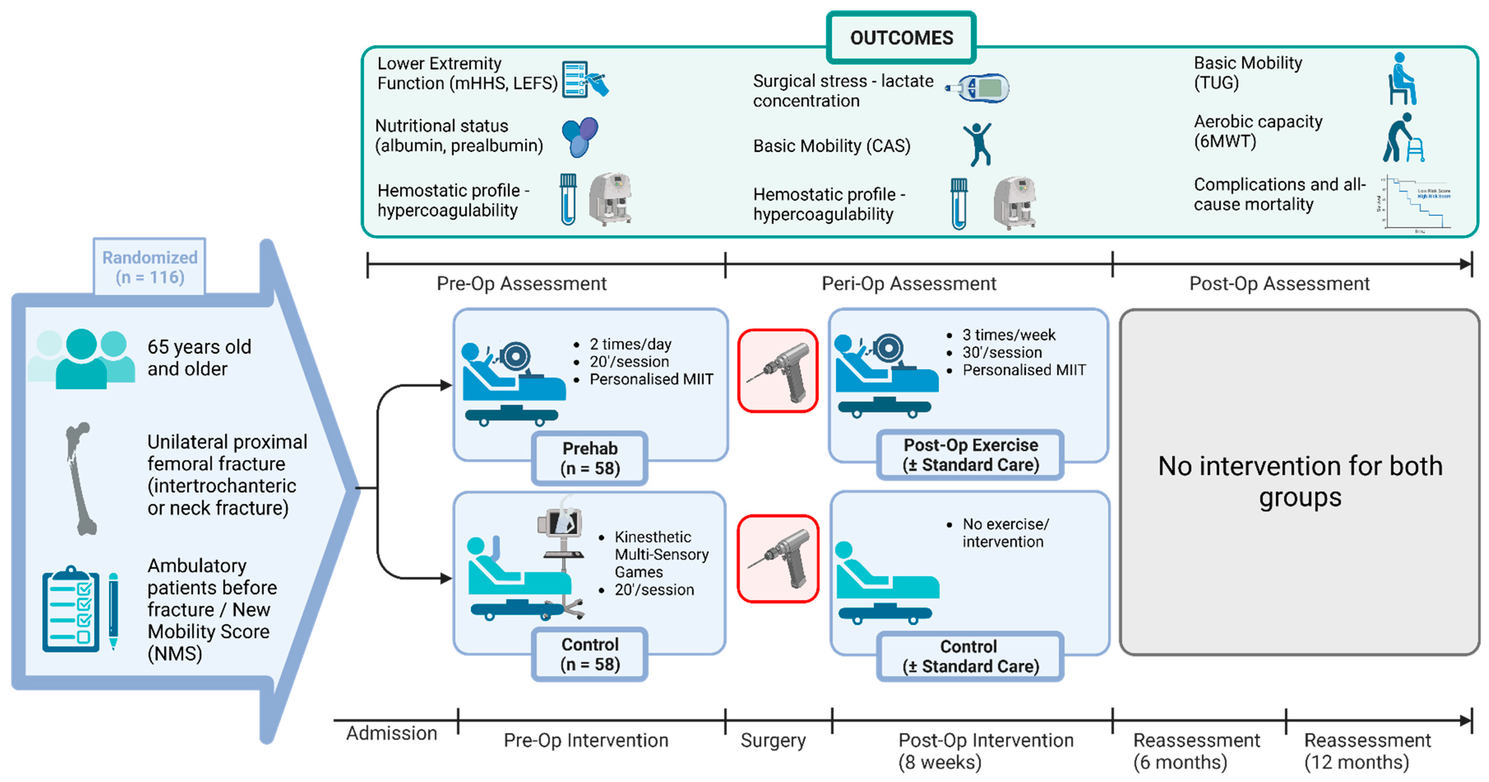 Biomedicines 11 01263 g001