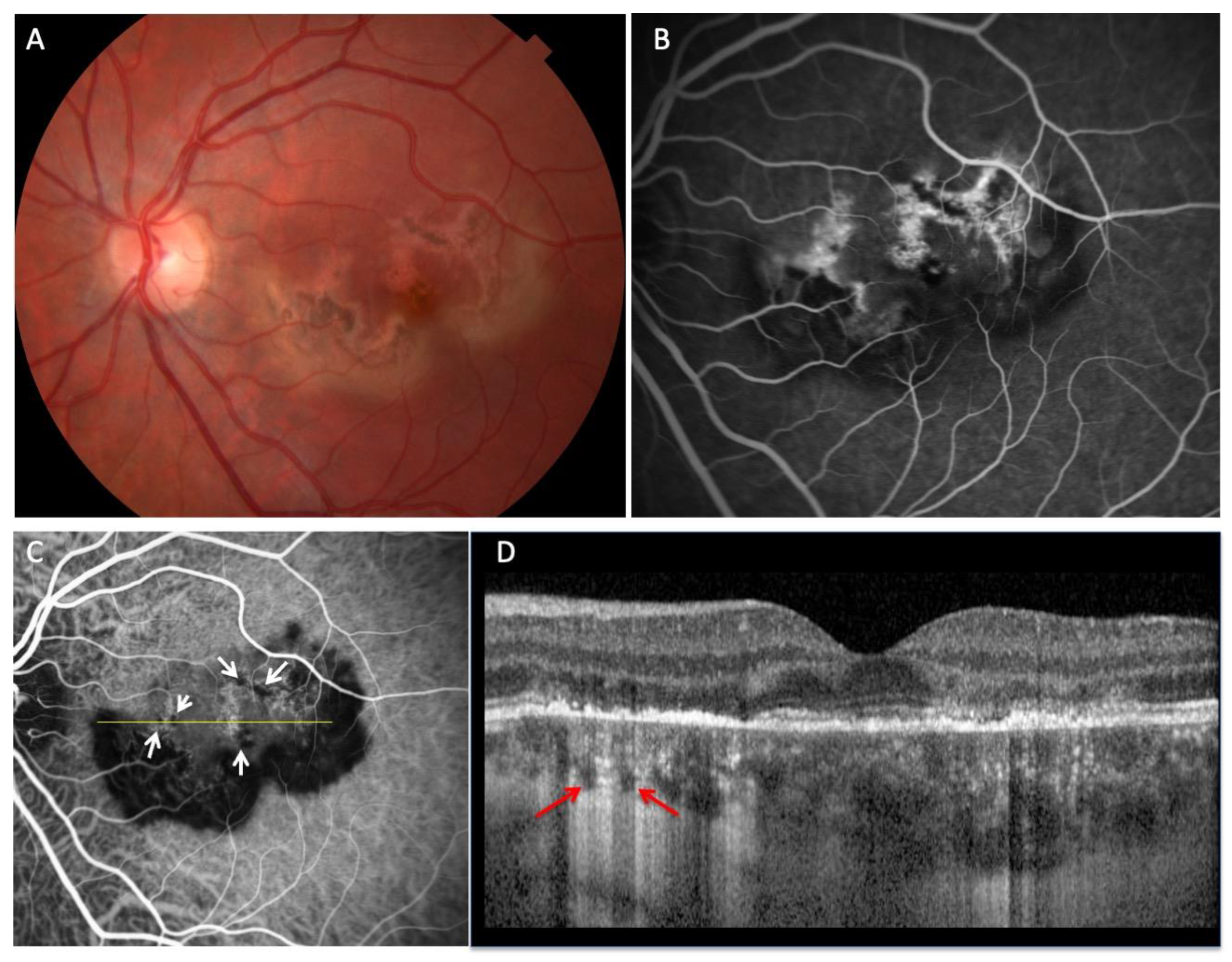 Biomedicines 11 01268 g002