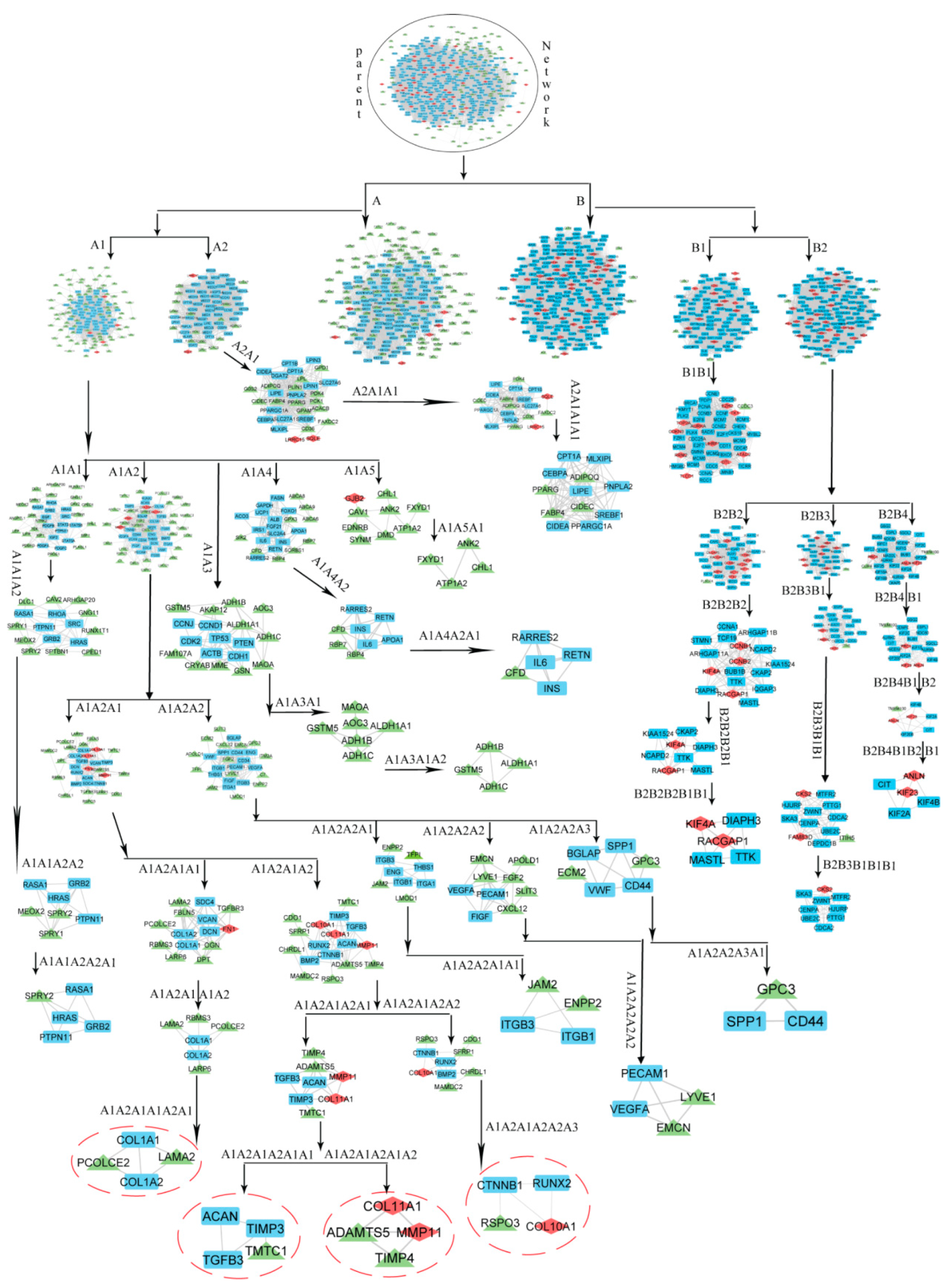 Biomedicines 11 01271 g003 Biomedicines 11 01271 g003
