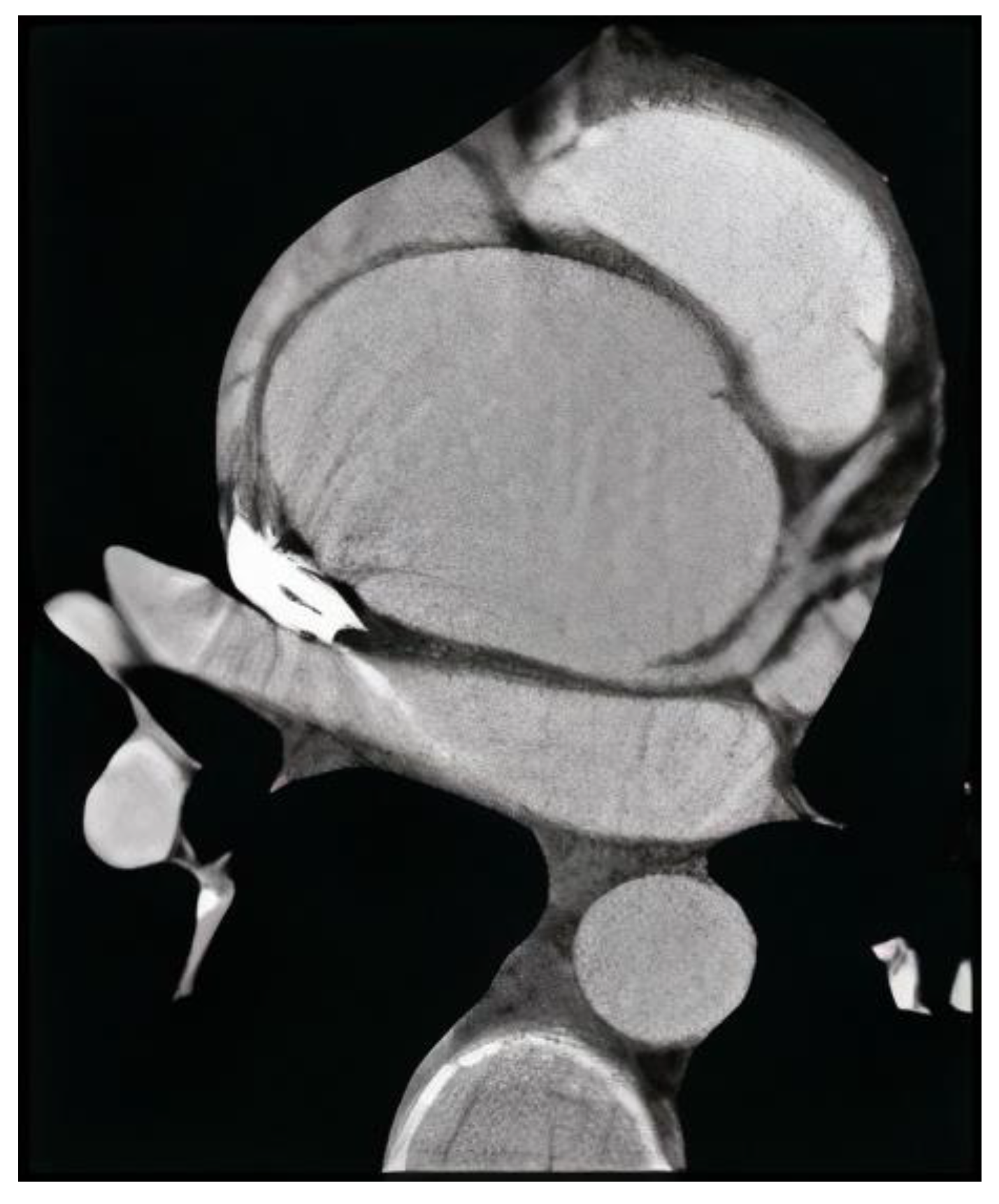 Biomedicines 11 01273 g002