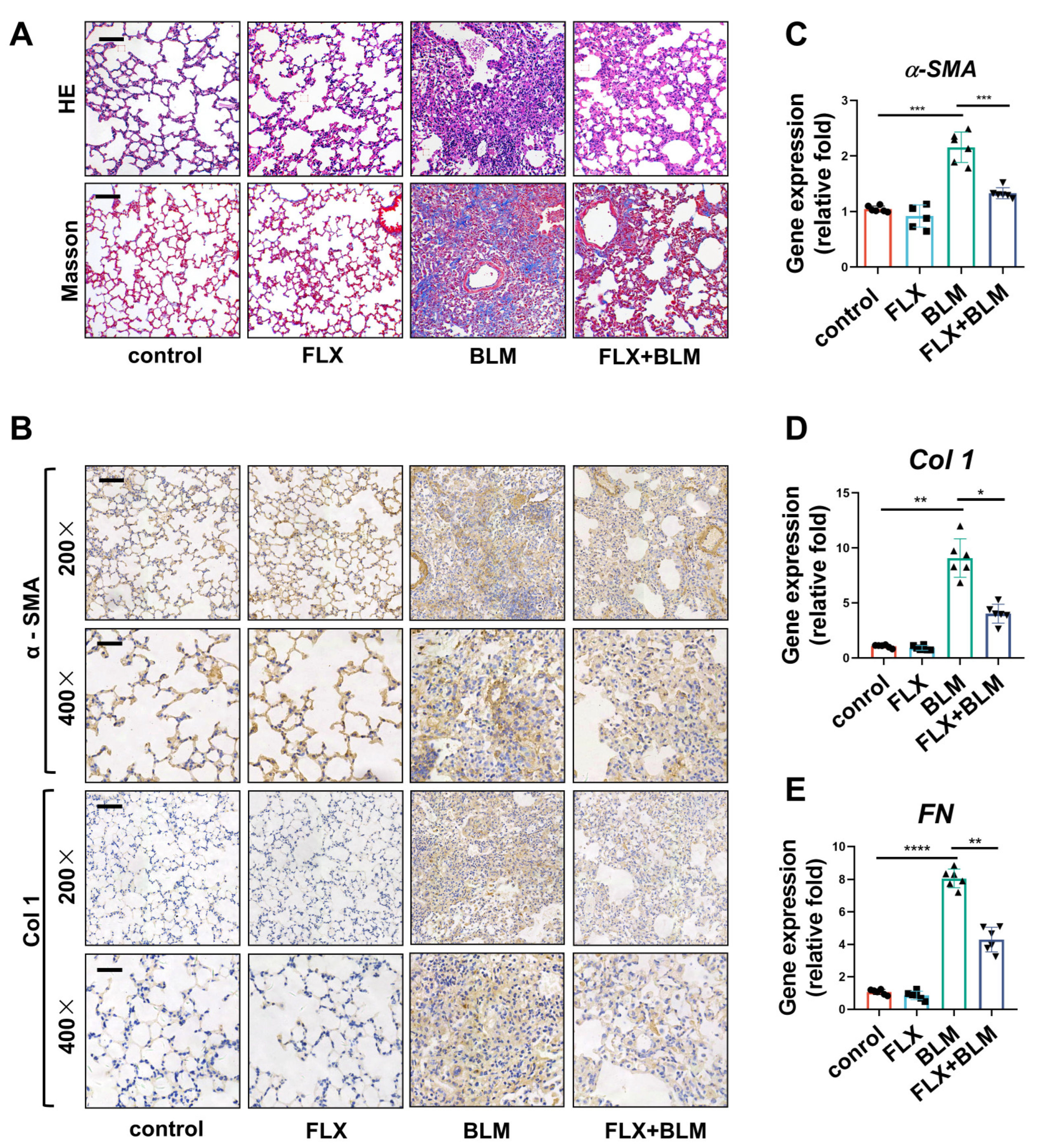 Biomedicines 11 01279 g002