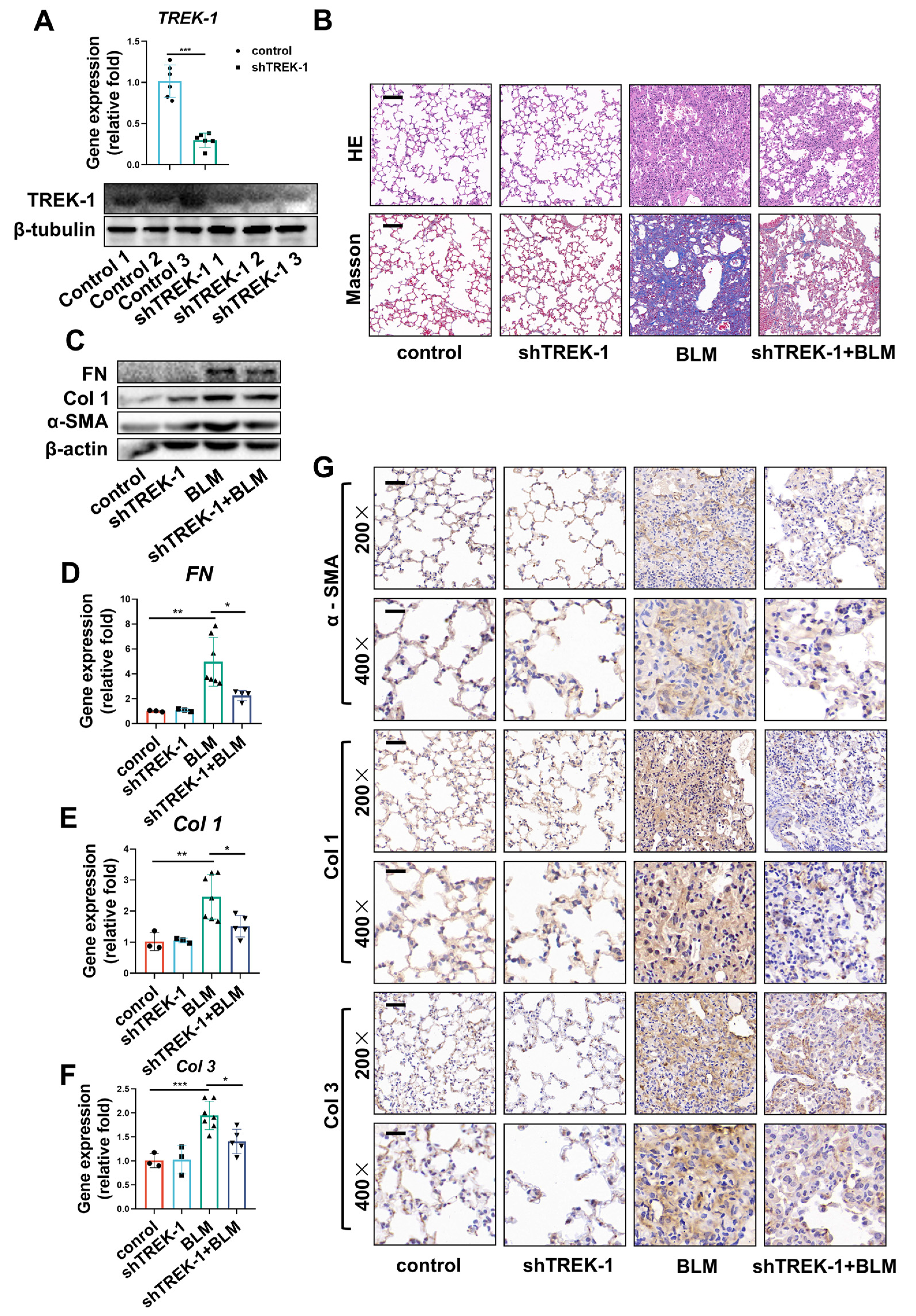 Biomedicines 11 01279 g003