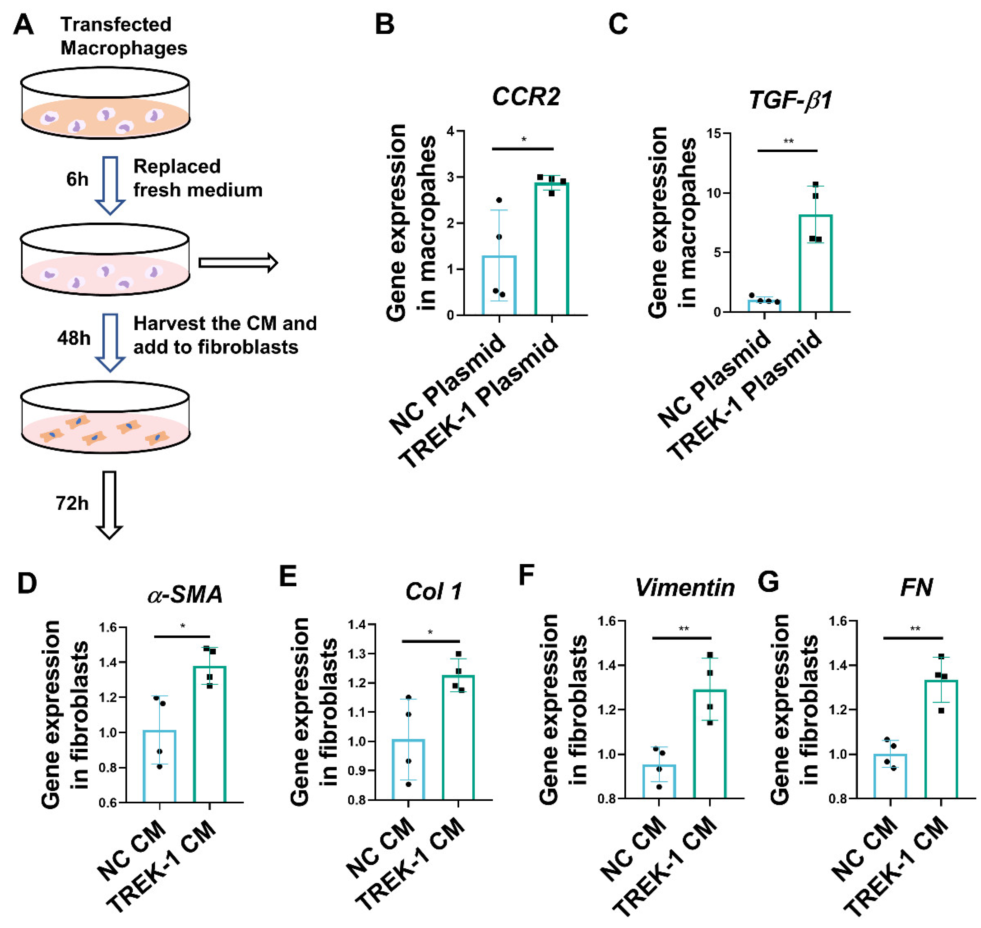 Biomedicines 11 01279 g005