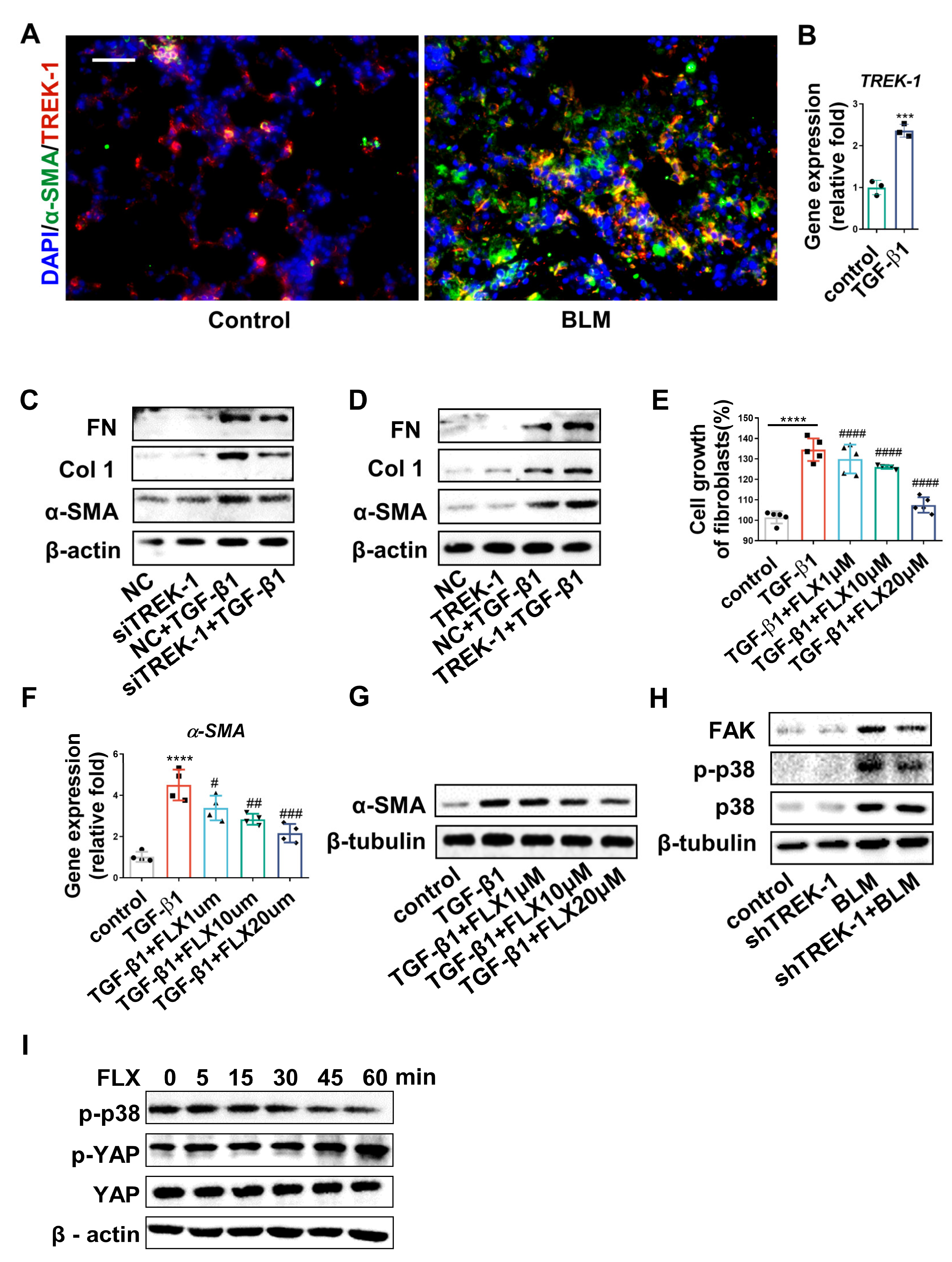 Biomedicines 11 01279 g006