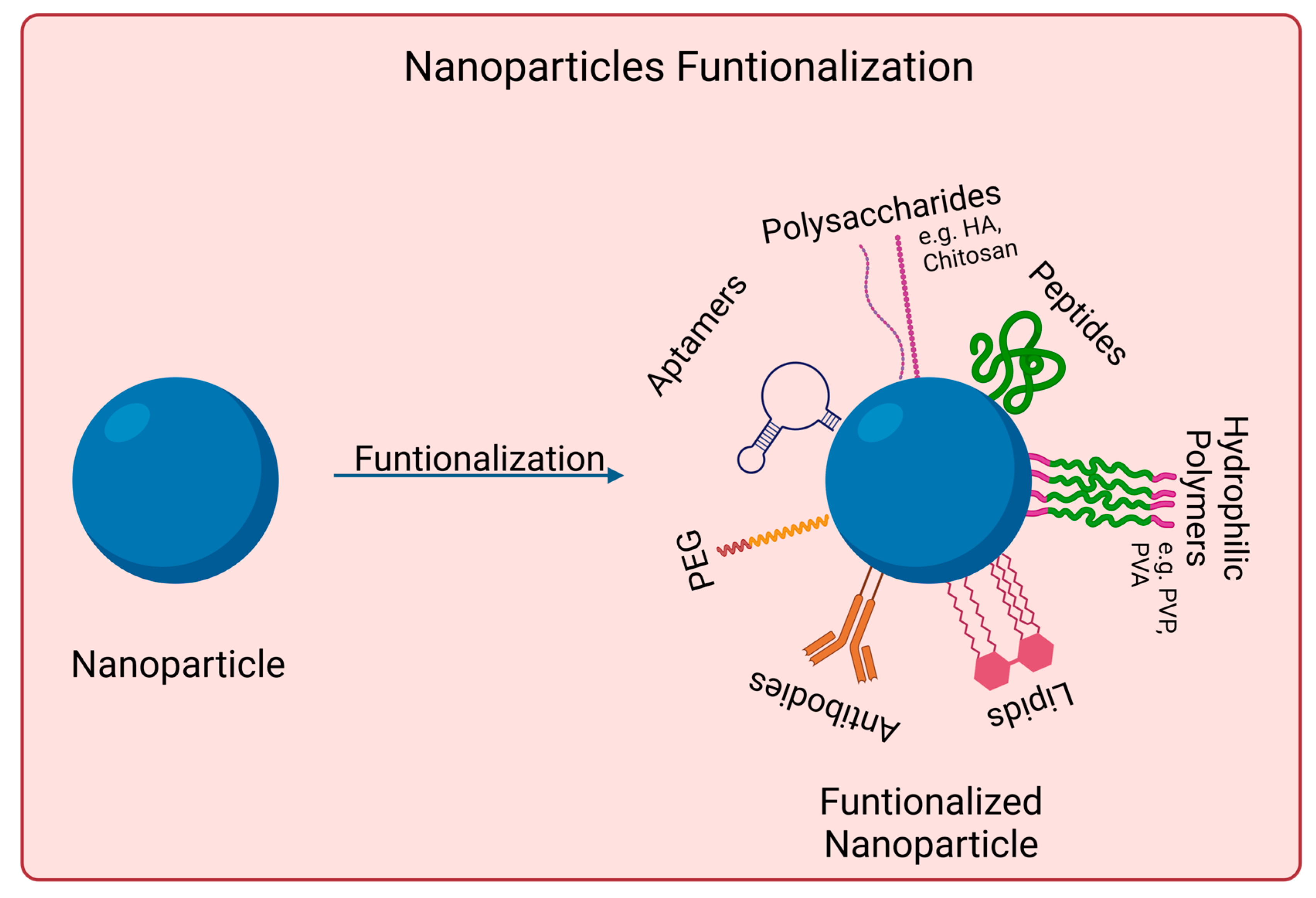 Biomedicines 11 01292 g002