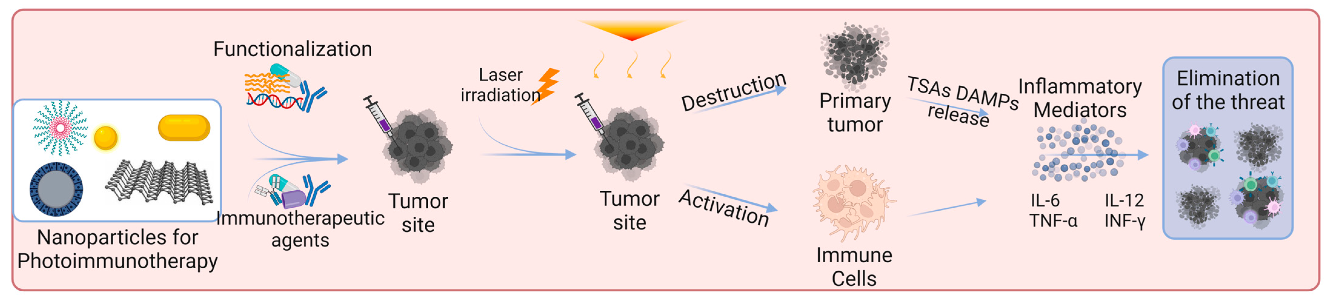Biomedicines 11 01292 g003