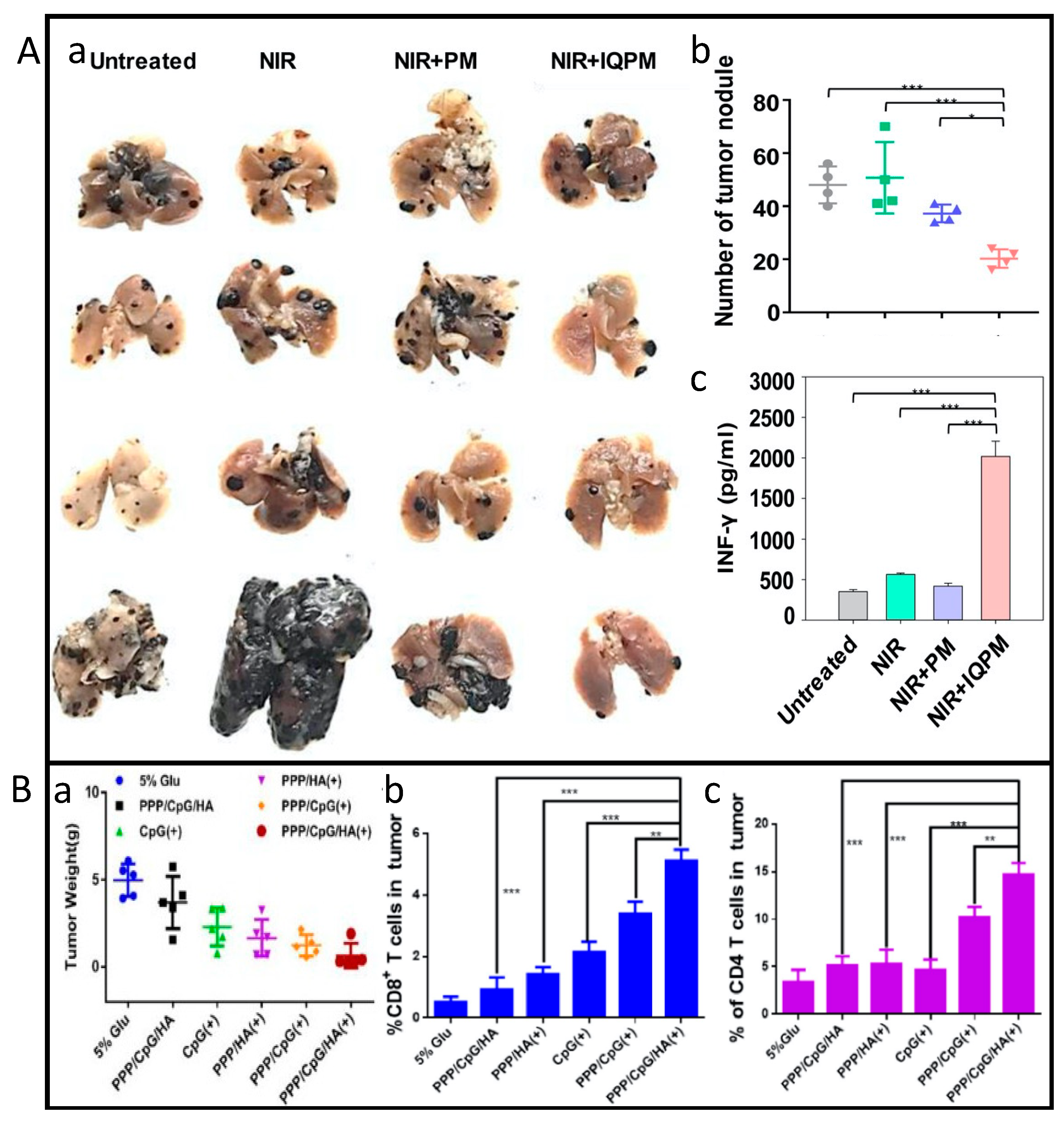 Biomedicines 11 01292 g005