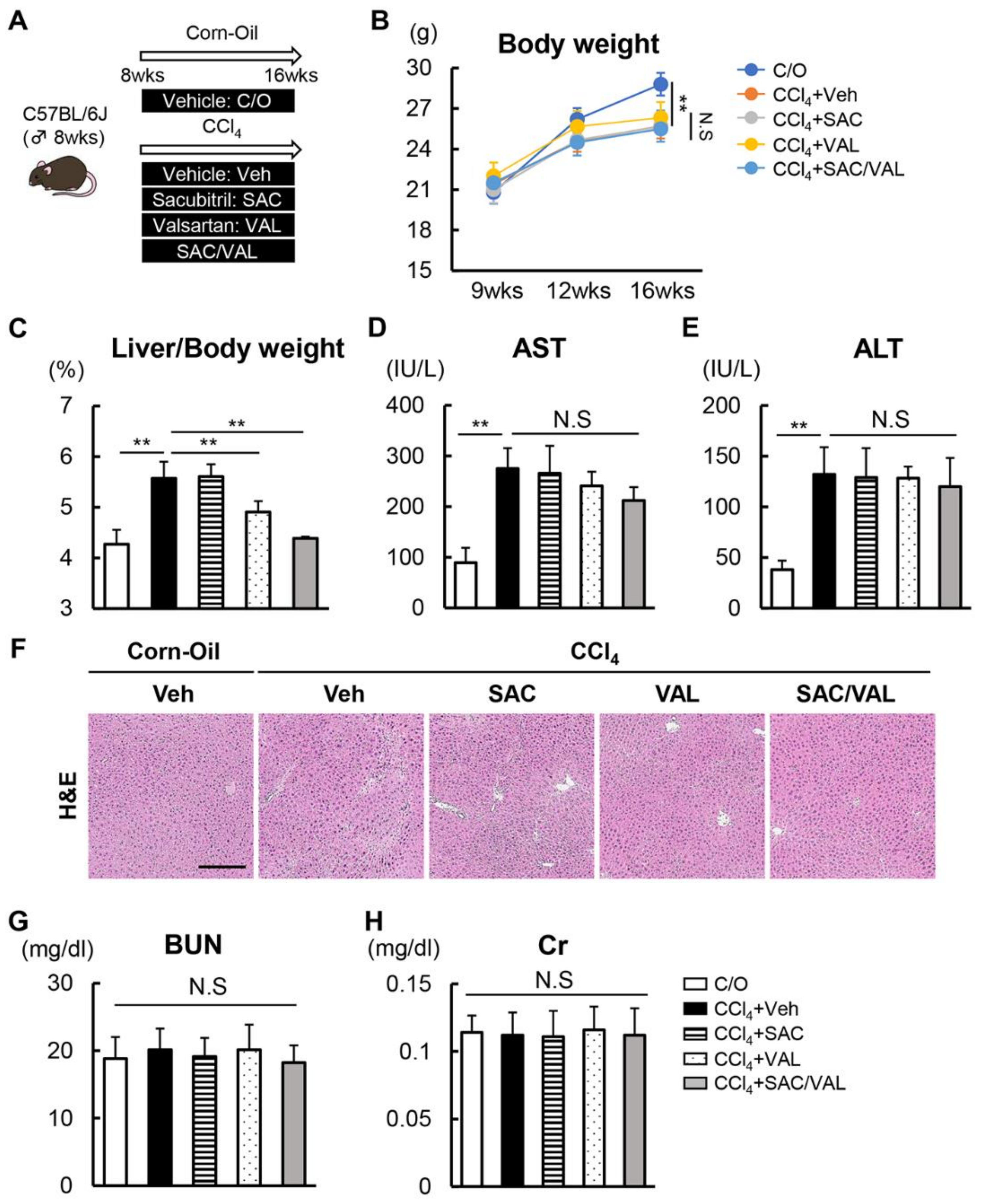 Biomedicines 11 01295 g001