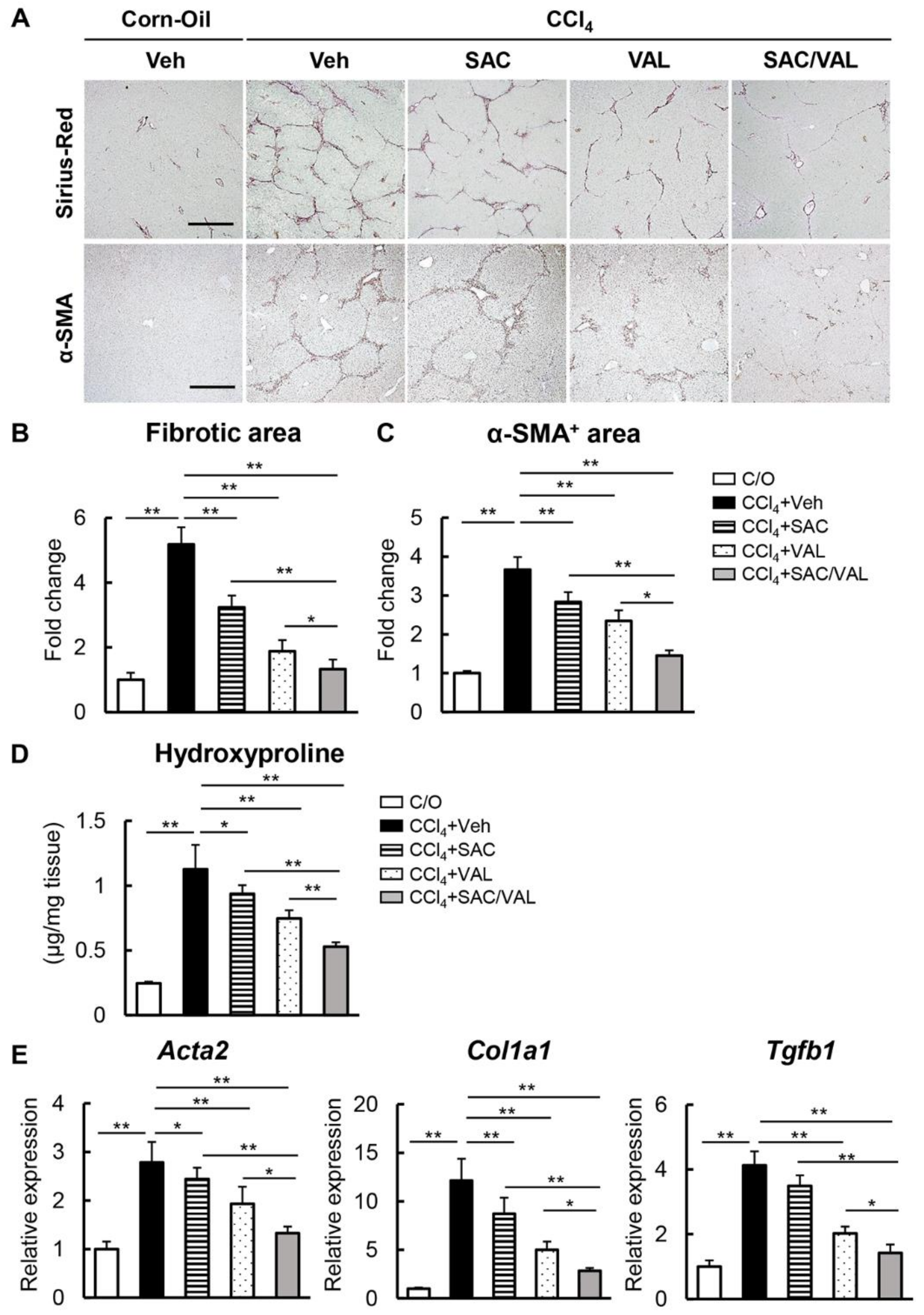 Biomedicines 11 01295 g002