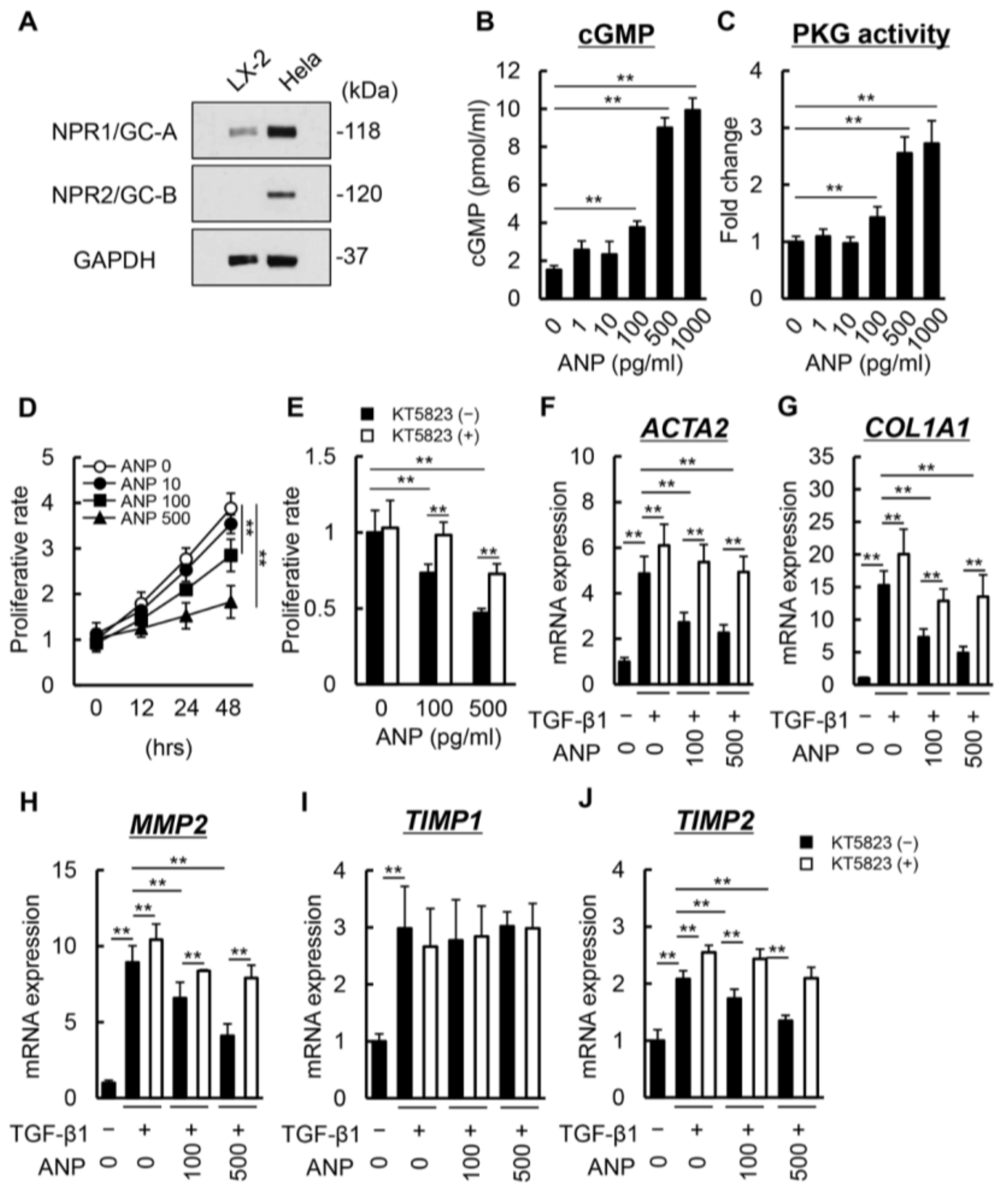 Biomedicines 11 01295 g004