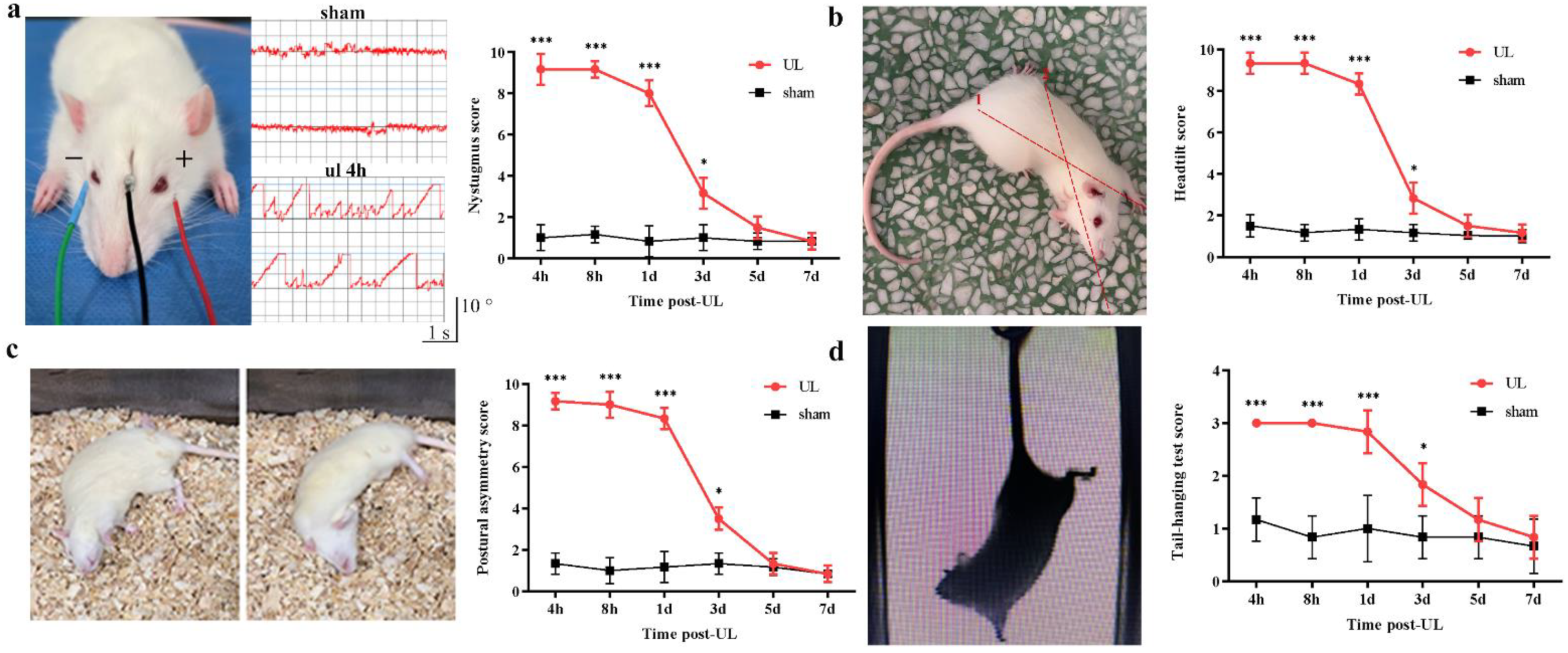 Biomedicines 11 01298 g001