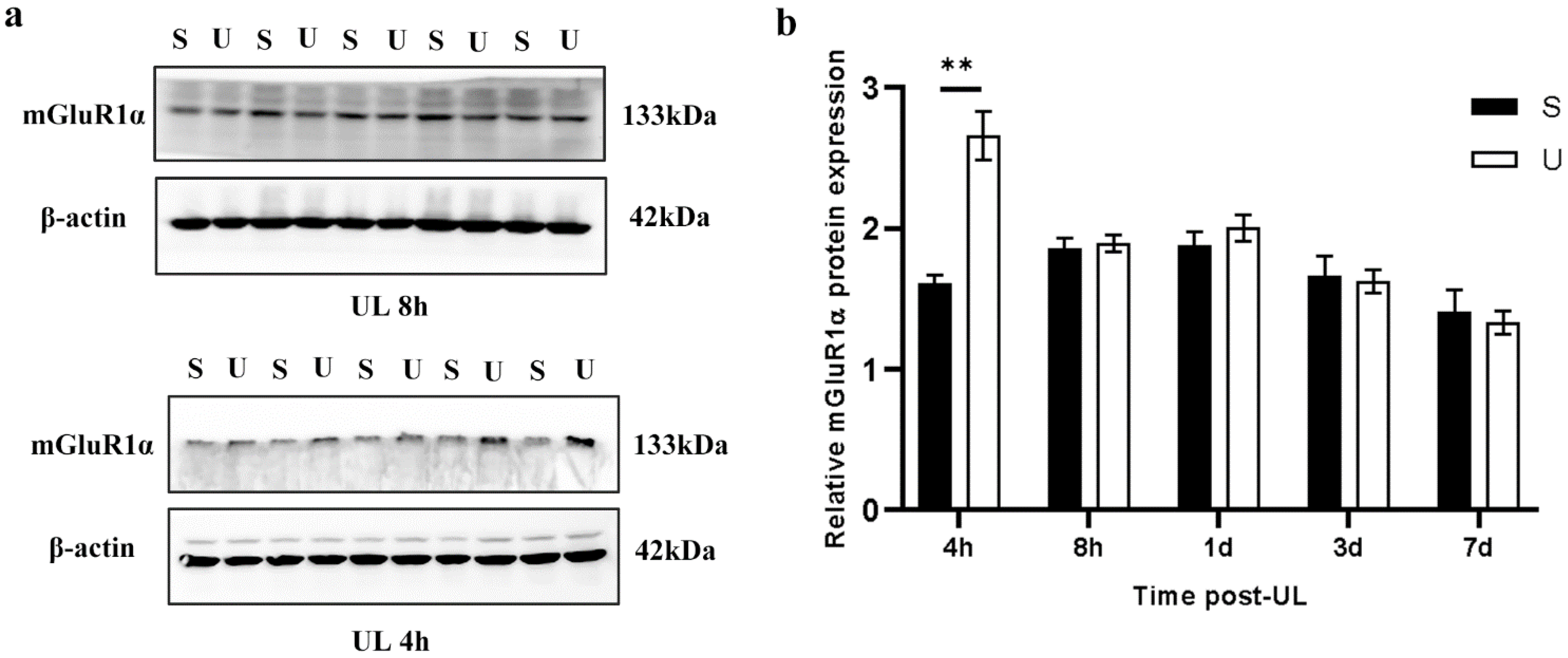 Biomedicines 11 01298 g003