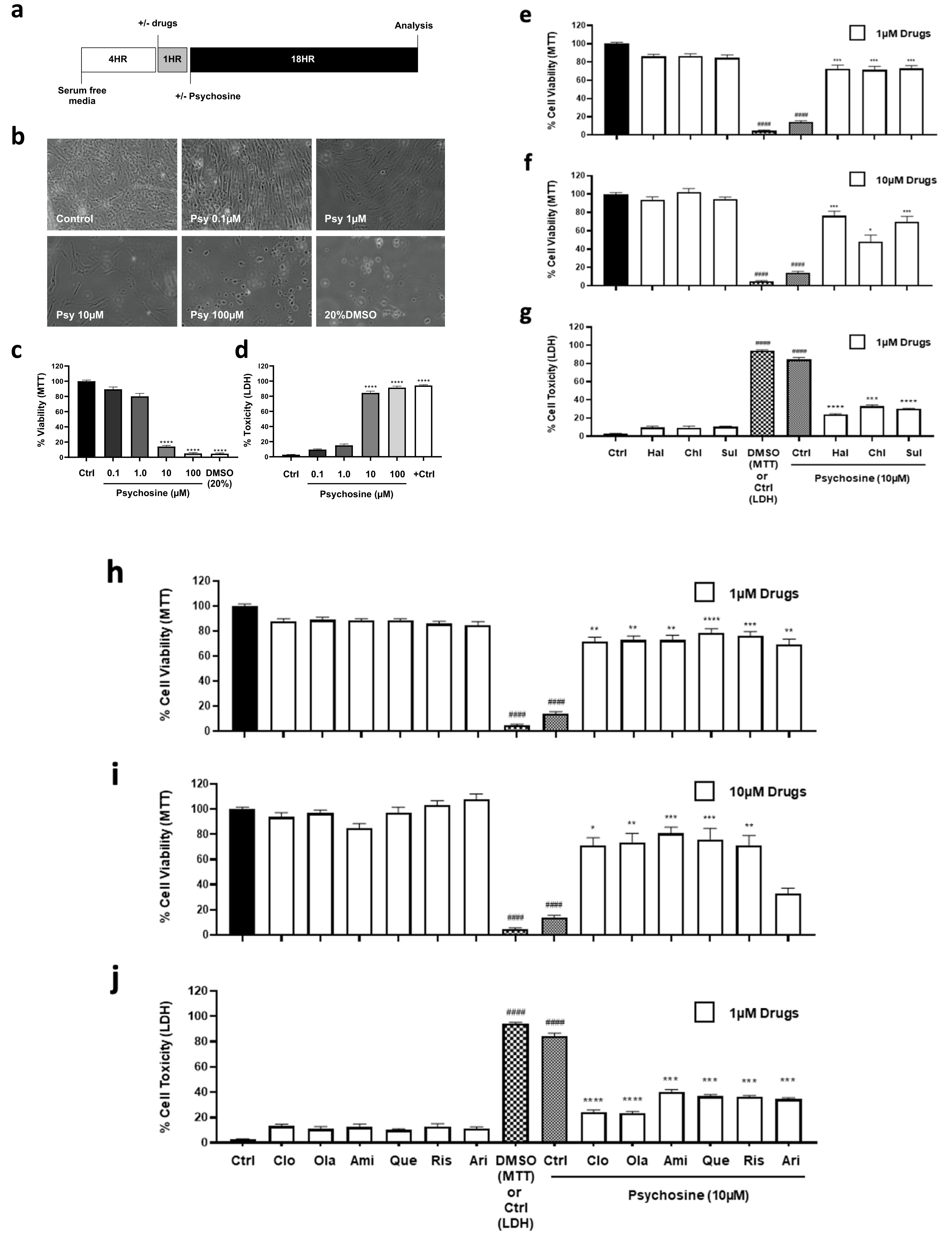 Biomedicines 11 01313 g001a